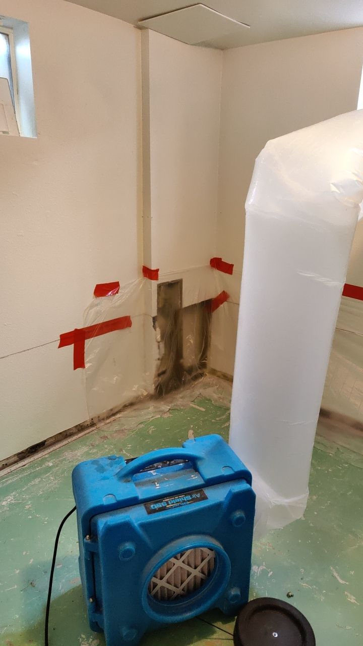 Mold Remediation by Accountable Home Services