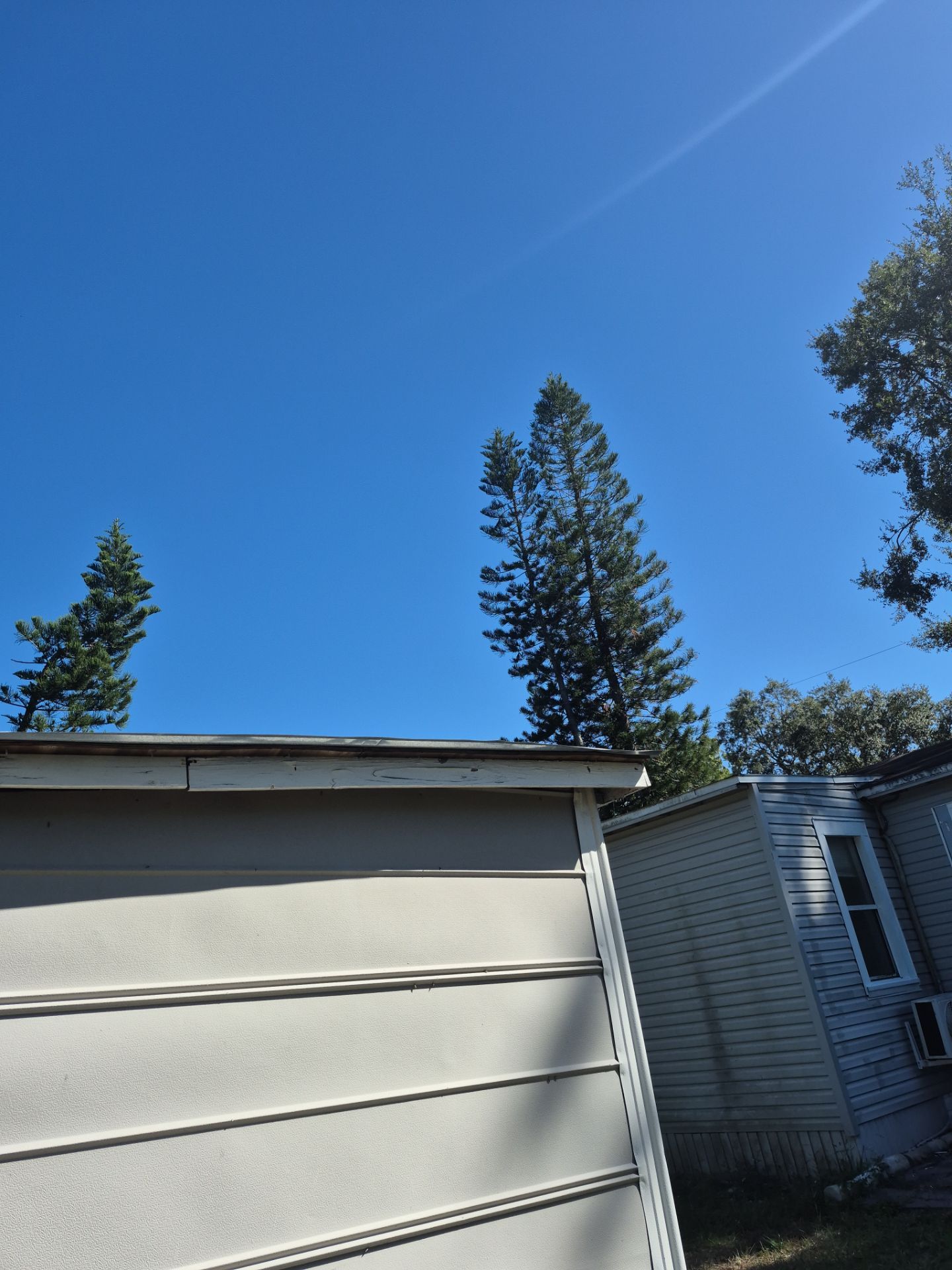 Project in Tampa 33612 by Mitchell Roofing Company LLC
