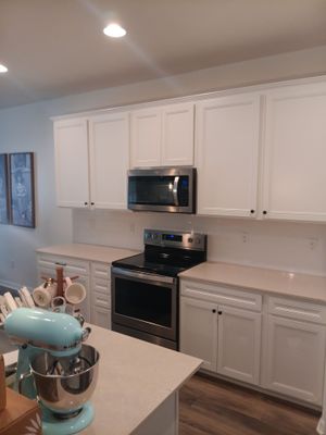 Palmetto Mold Removal & Repair