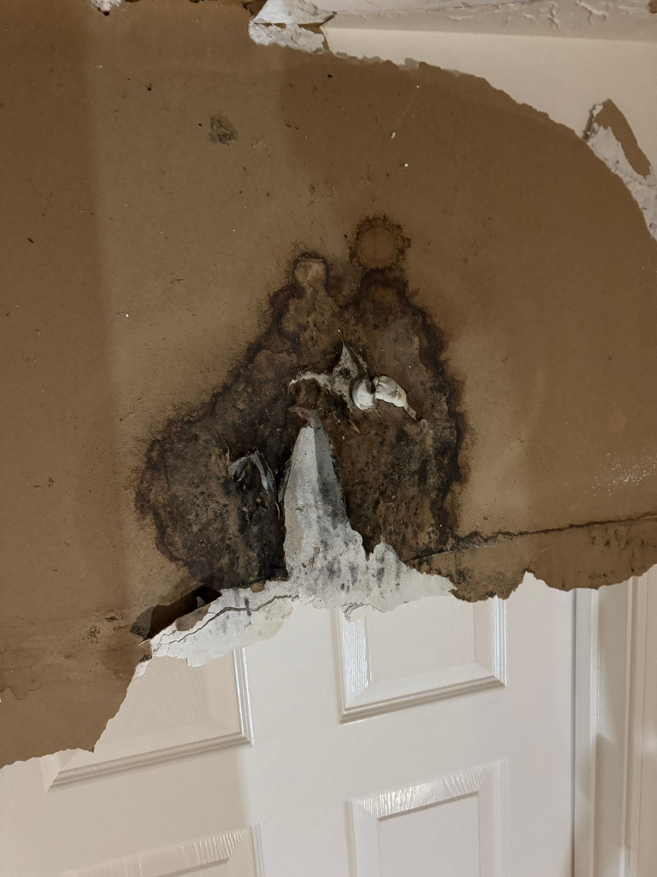 Emergency Service Mitigation in Louisville, KY by ANR Restoration