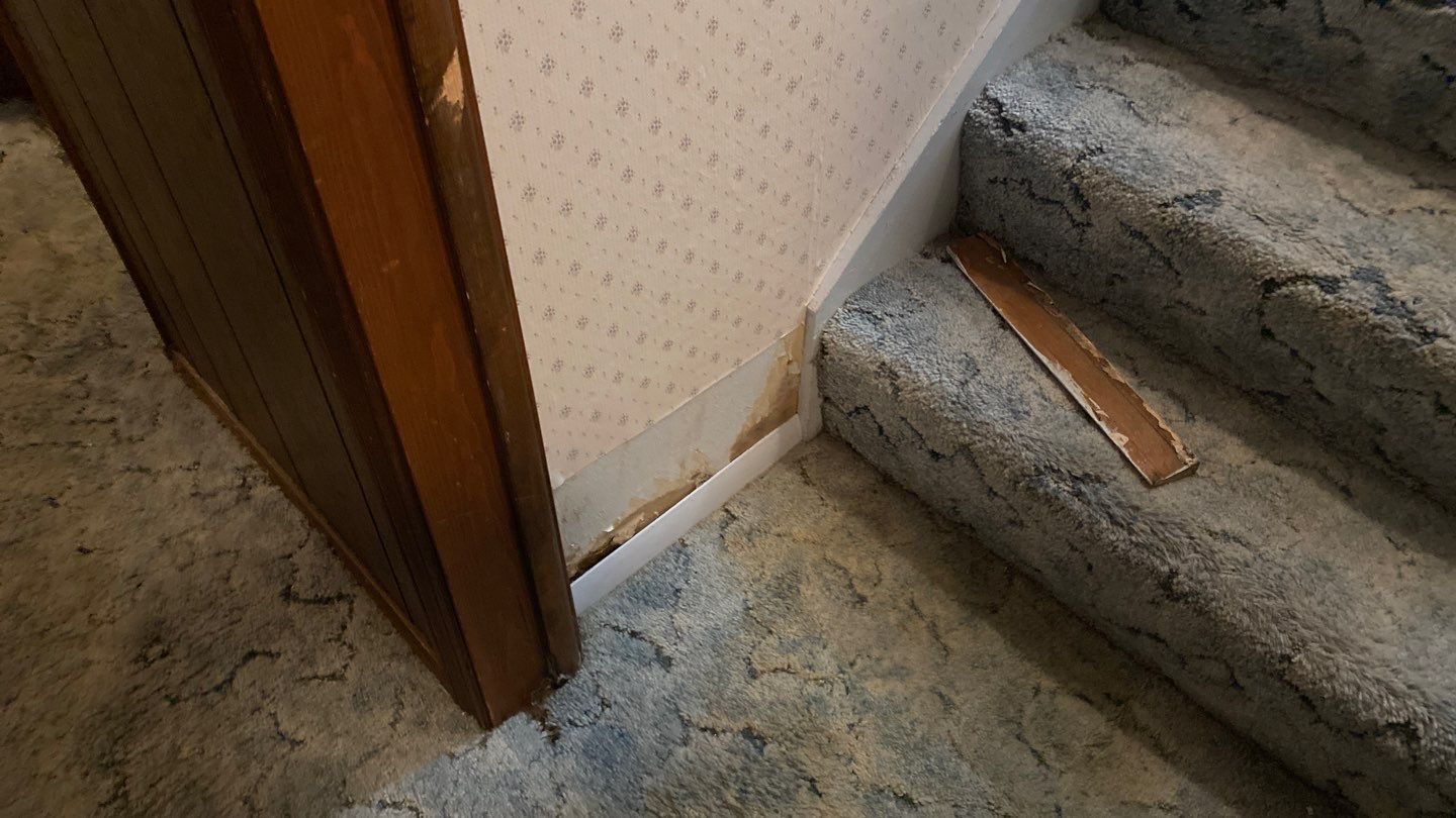 Water Damage  by Accountable Home Services