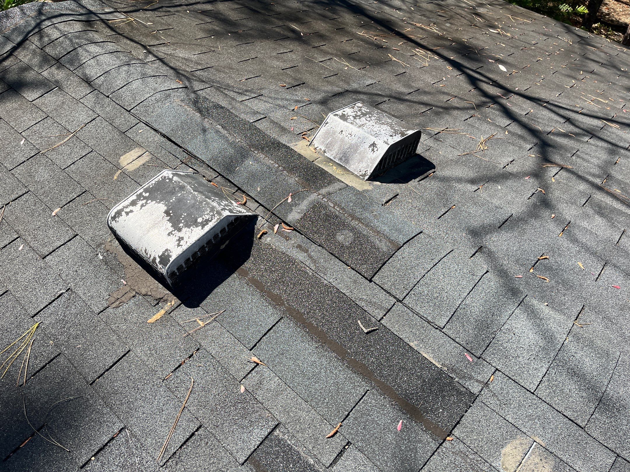 Shingle -> Shingle by Prime Roofing