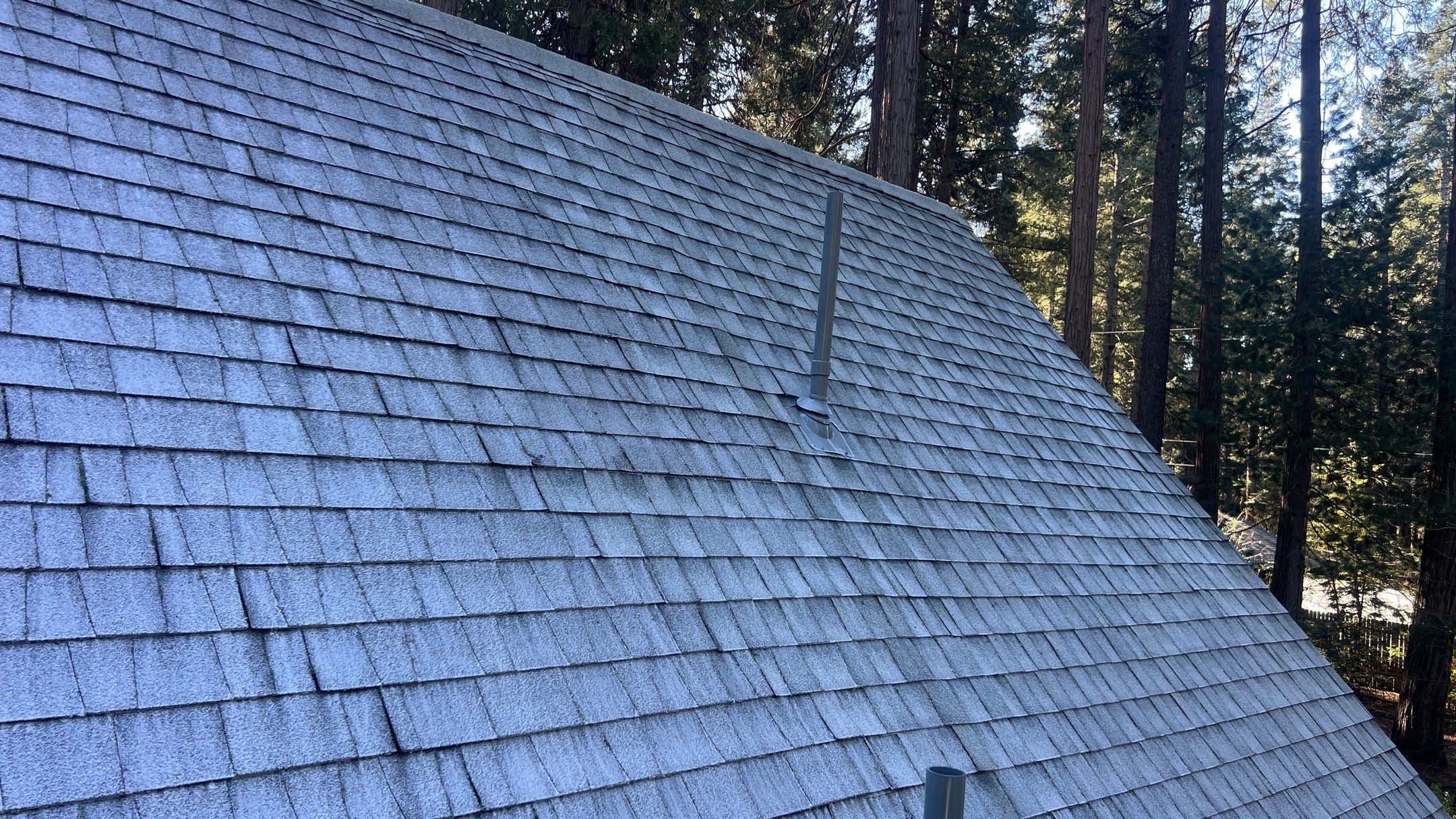 Roof Rejuvenation using Roof Maxx Treatment by Roof Maxx of Folsom