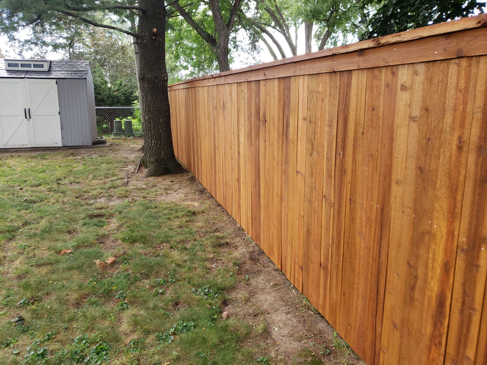 Custom Cedar Privacy Fence with Decorative Gate Windows in Cedar Falls by Perfect Picket Fence and Stain