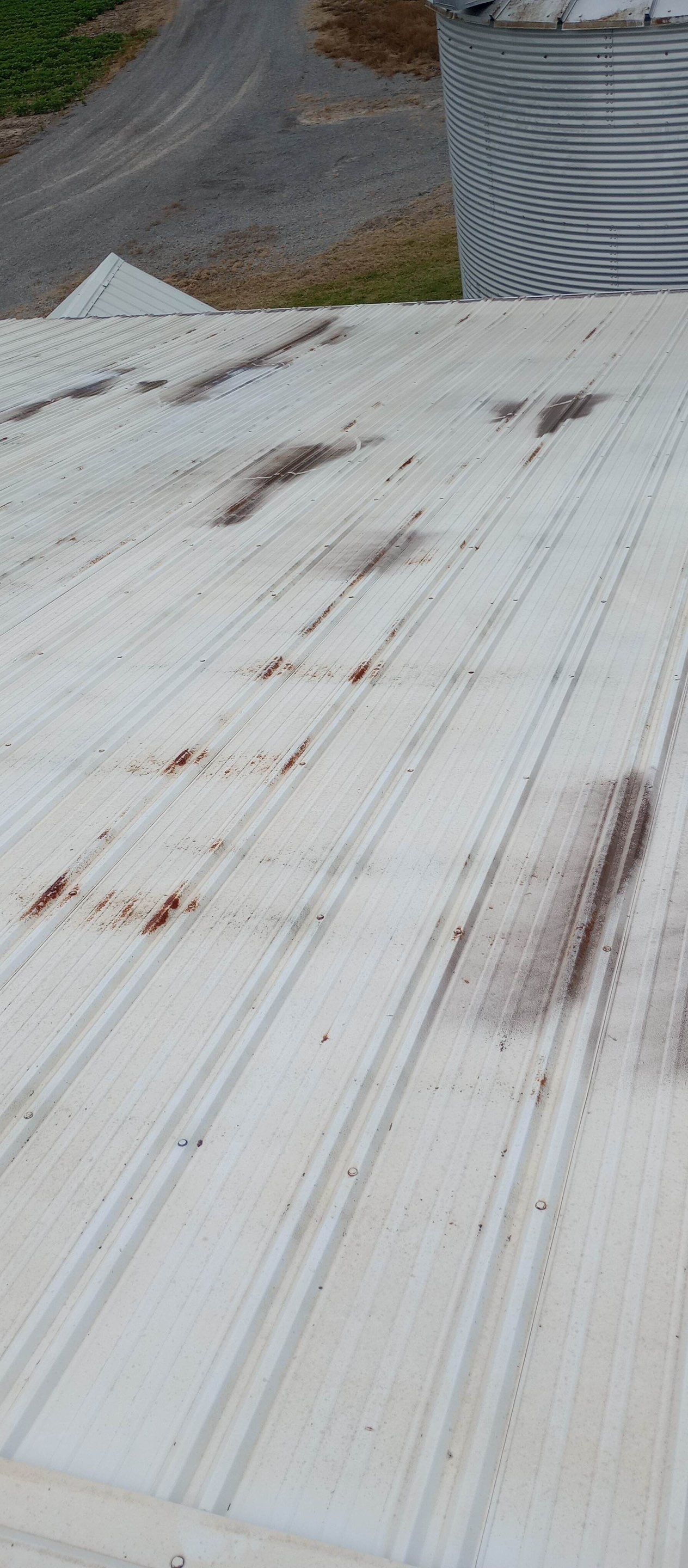 Outdoor Shed Project Near Chaffee by Duncan Painting And Wallcovering