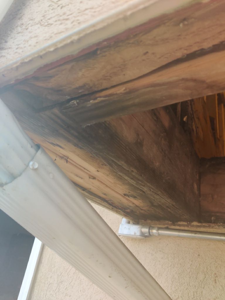 Mold Remediation in Bathroom by Accountable Home Services