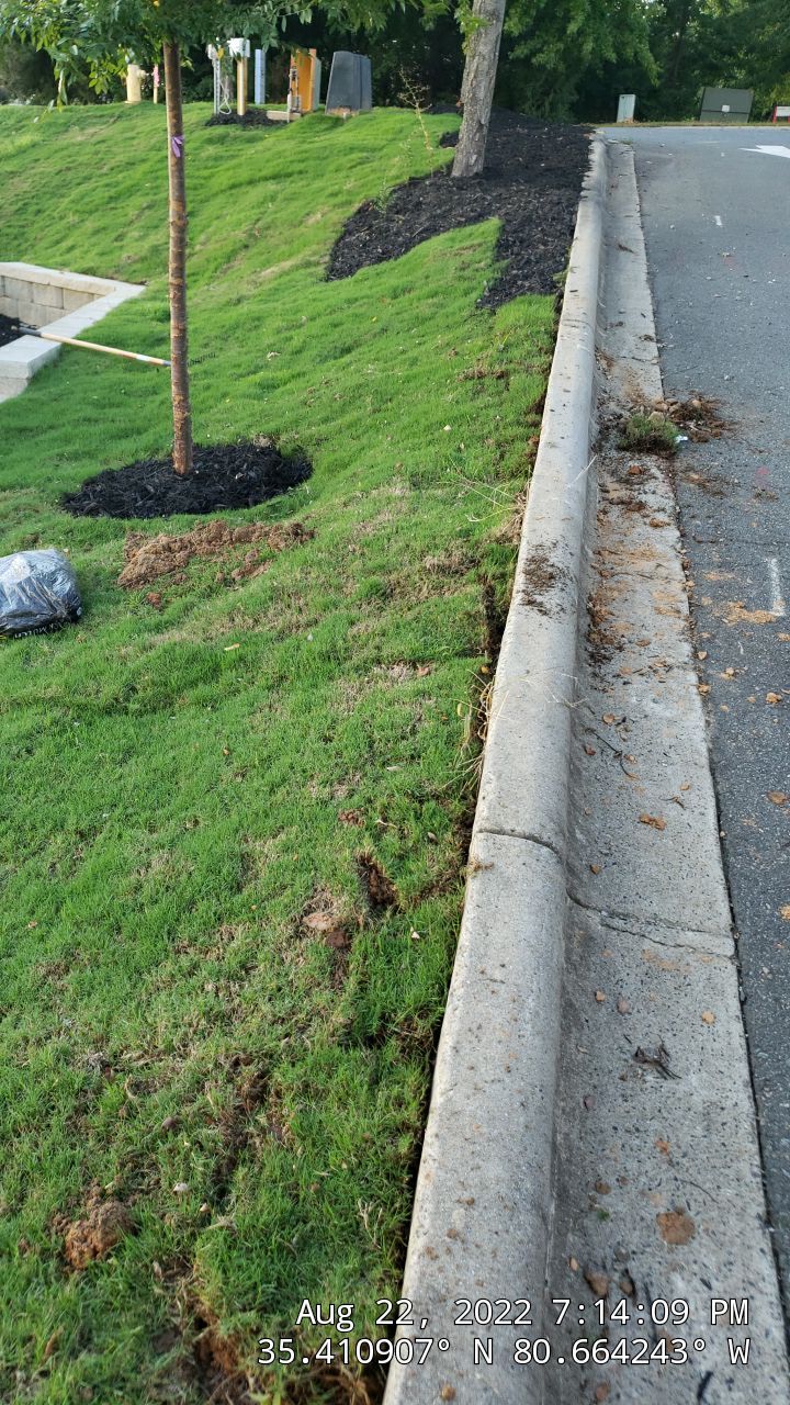 Commercial Landscaping Harris Teeter Fuel Station by Carolina-Metro Landscape, Inc
