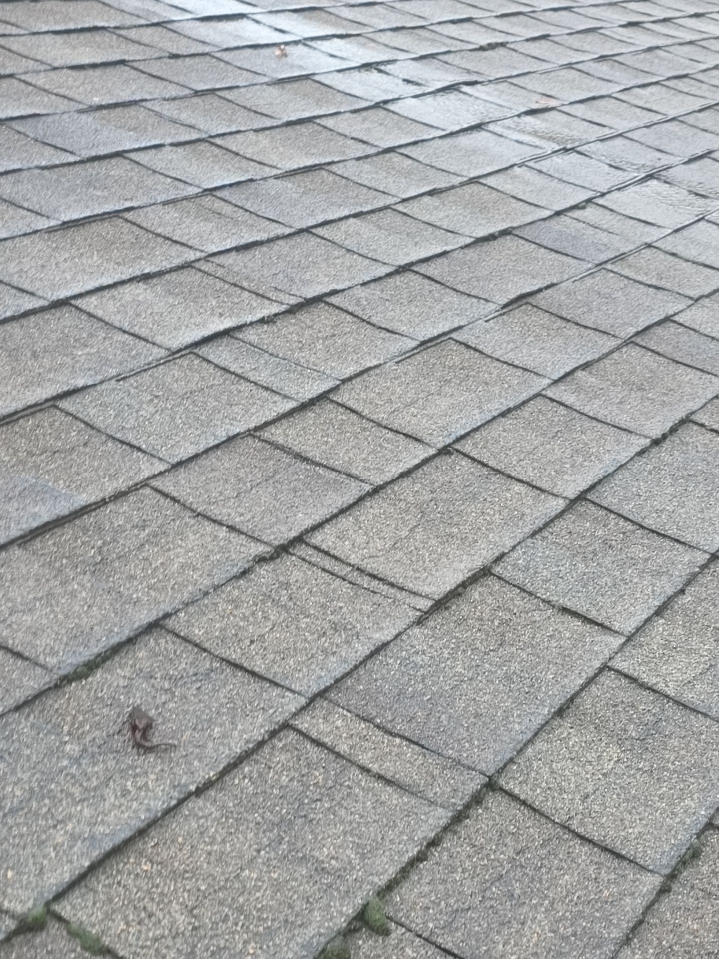 Roof Rejuvenation using Roof Maxx Treatment by Roof Maxx of Folsom