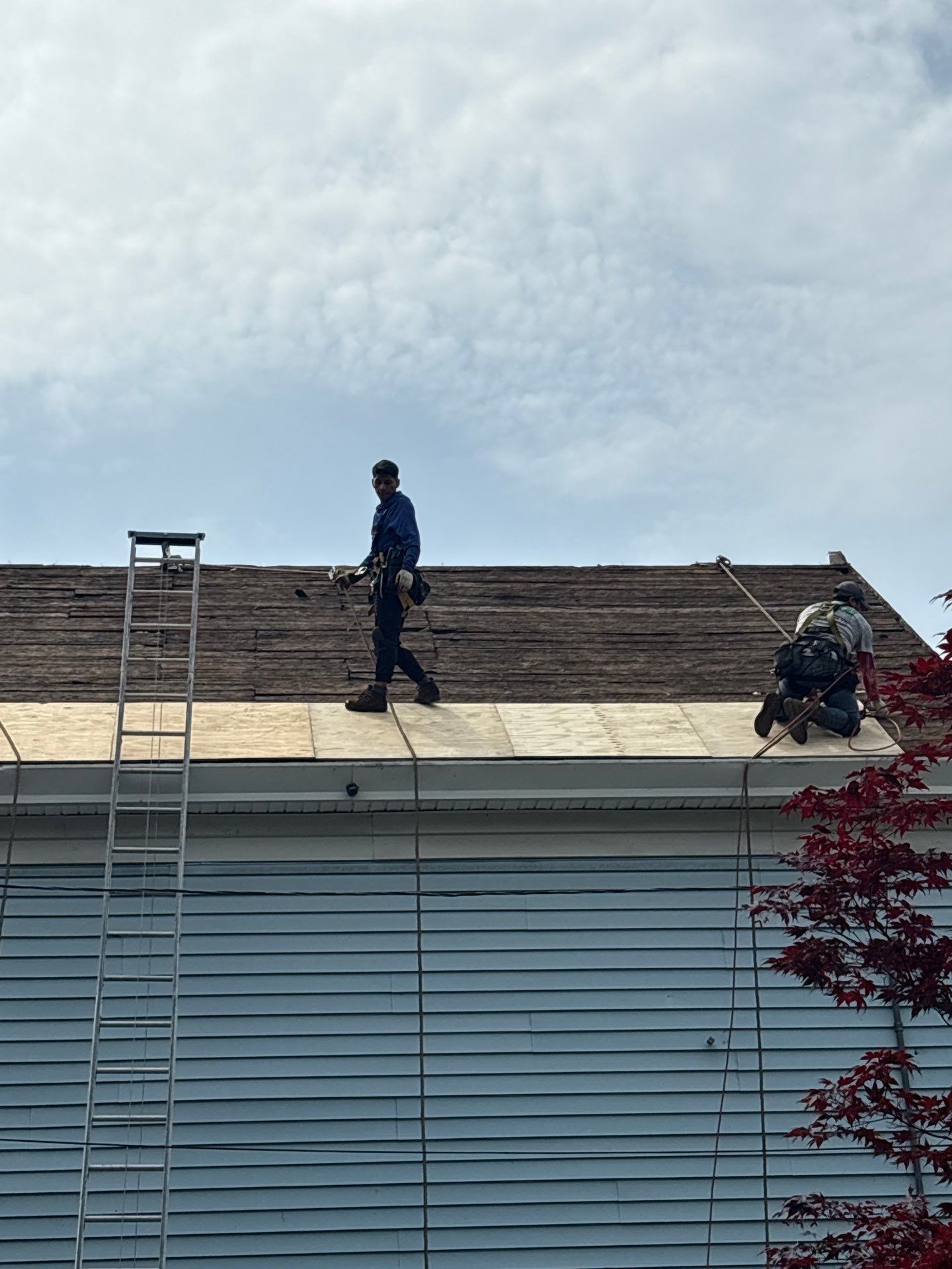 Roof Replacement in Methuen, MA by Mighty Dog Roofing of Greater Middlesex County
