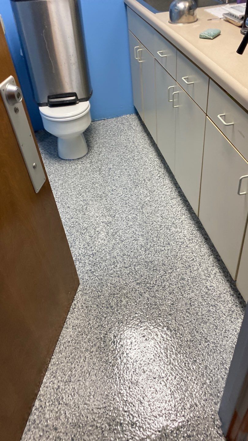 Cat Hospital Project in Pittsburgh by Floors in a Day, Inc