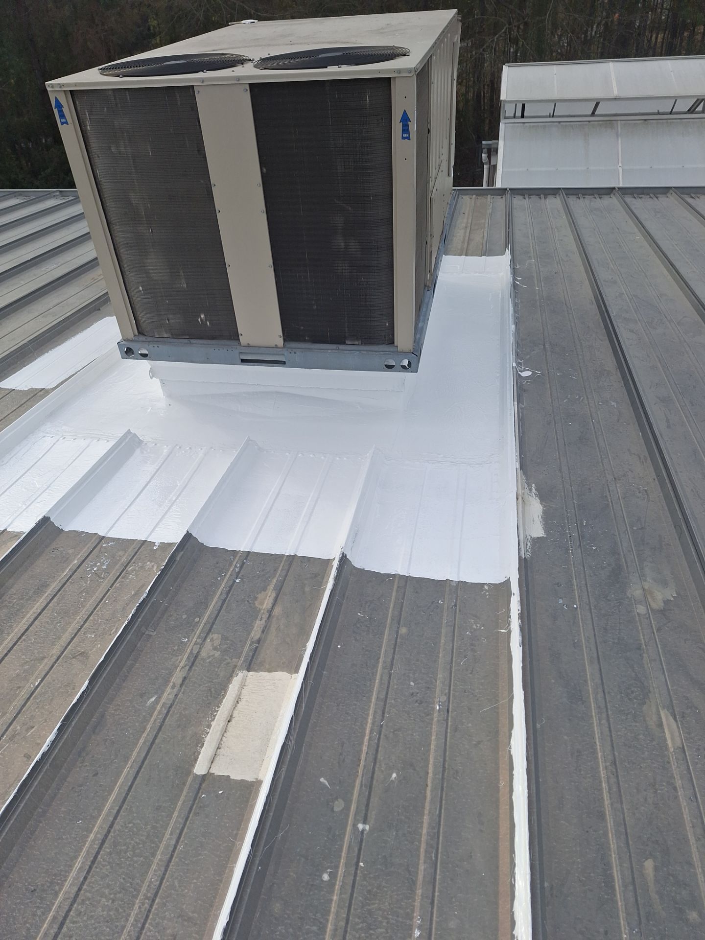 Tractor Supply Roof Repair by iGreen Solutions