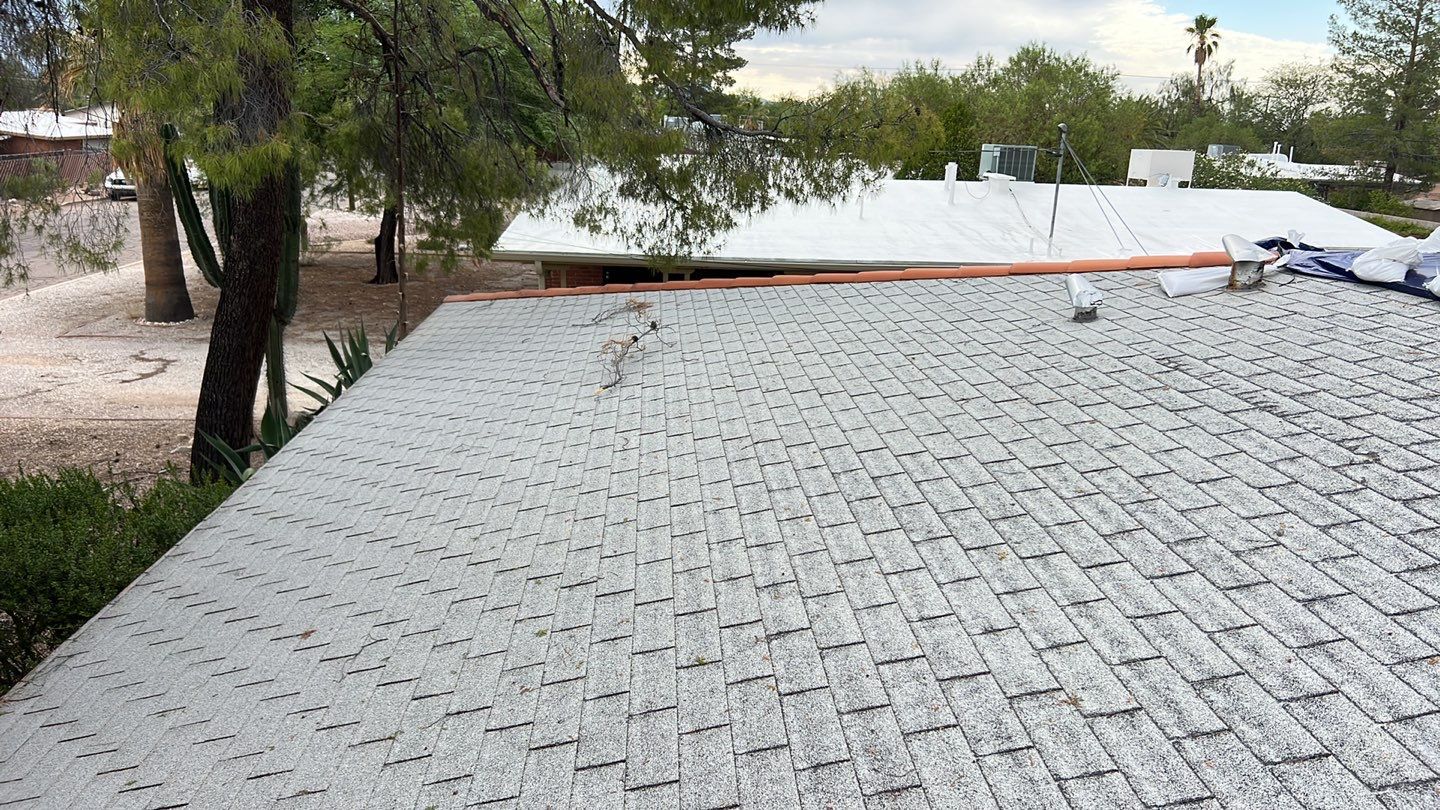 Silver Birch Shingles by Reimagine Roofing
