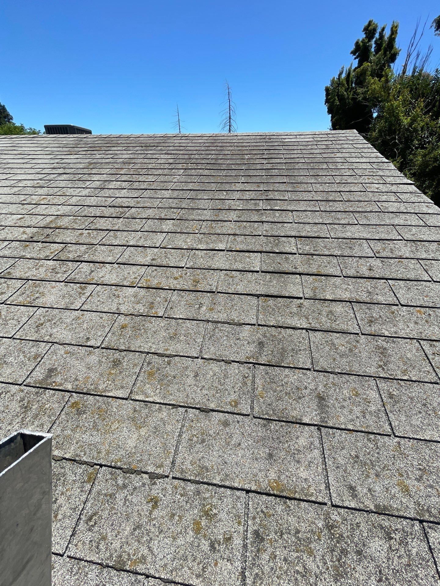 Roof Rejuvenation using Roof Maxx Treatment by Roof Maxx of Folsom