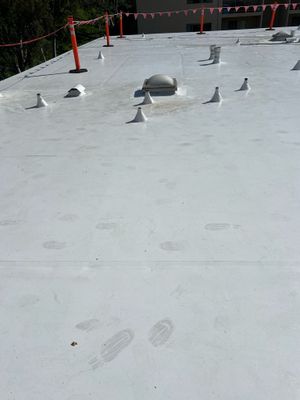 TPO - Re-Roof
