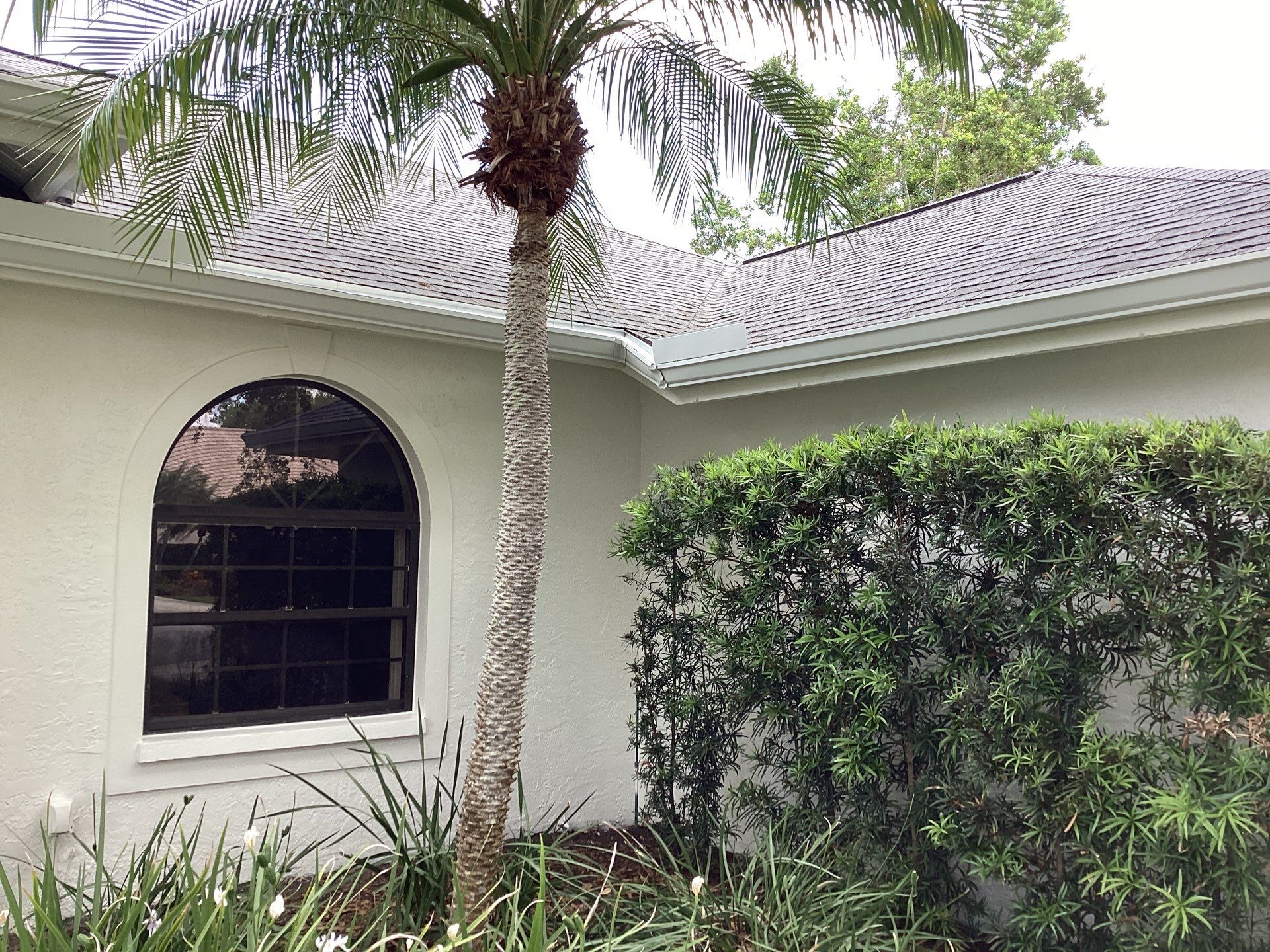 Gutter Guard System for a Leaf-Free Home in Sarasota FL by Gutter Professors