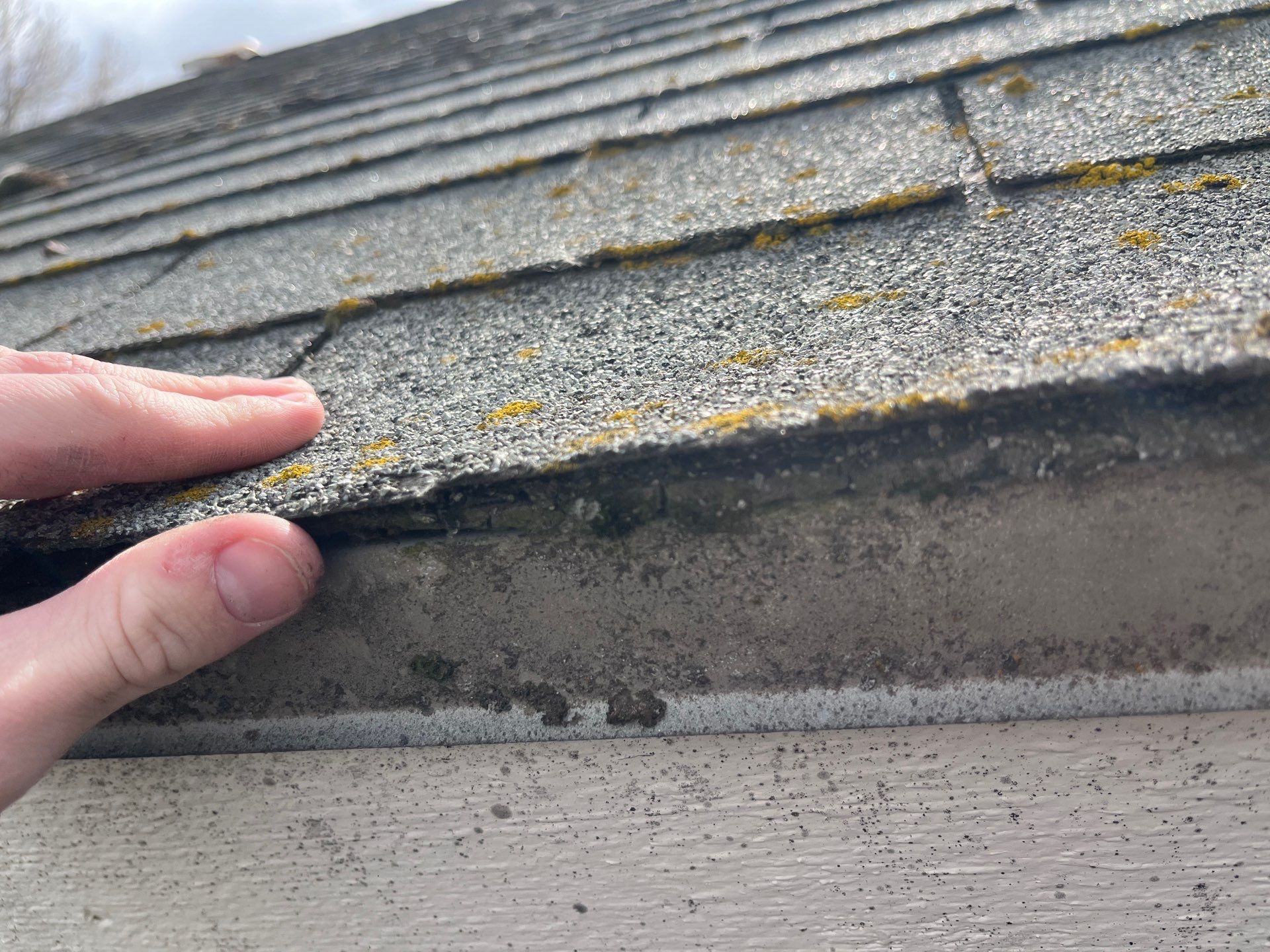 Project in Spokane by Connolly Construction Company