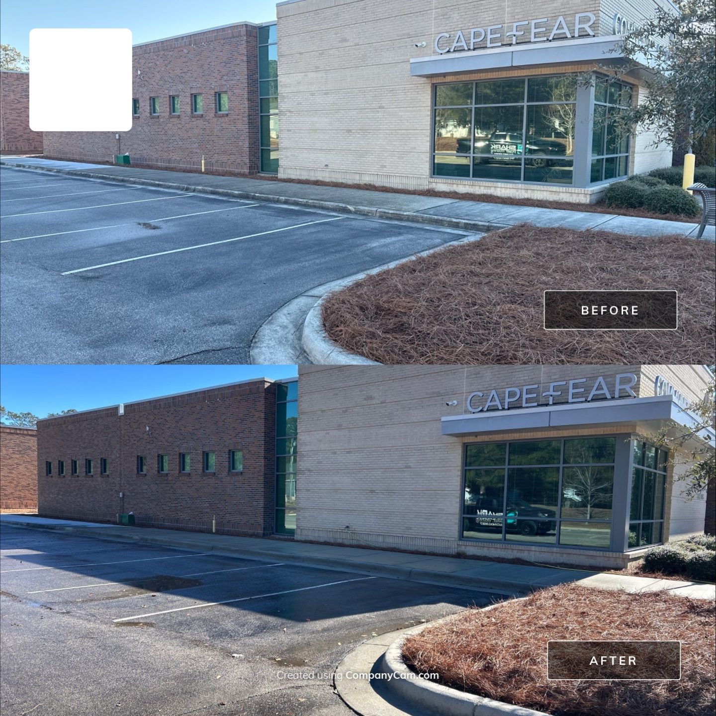 Concrete Cleaning in Hampstead by Shark Power Washing