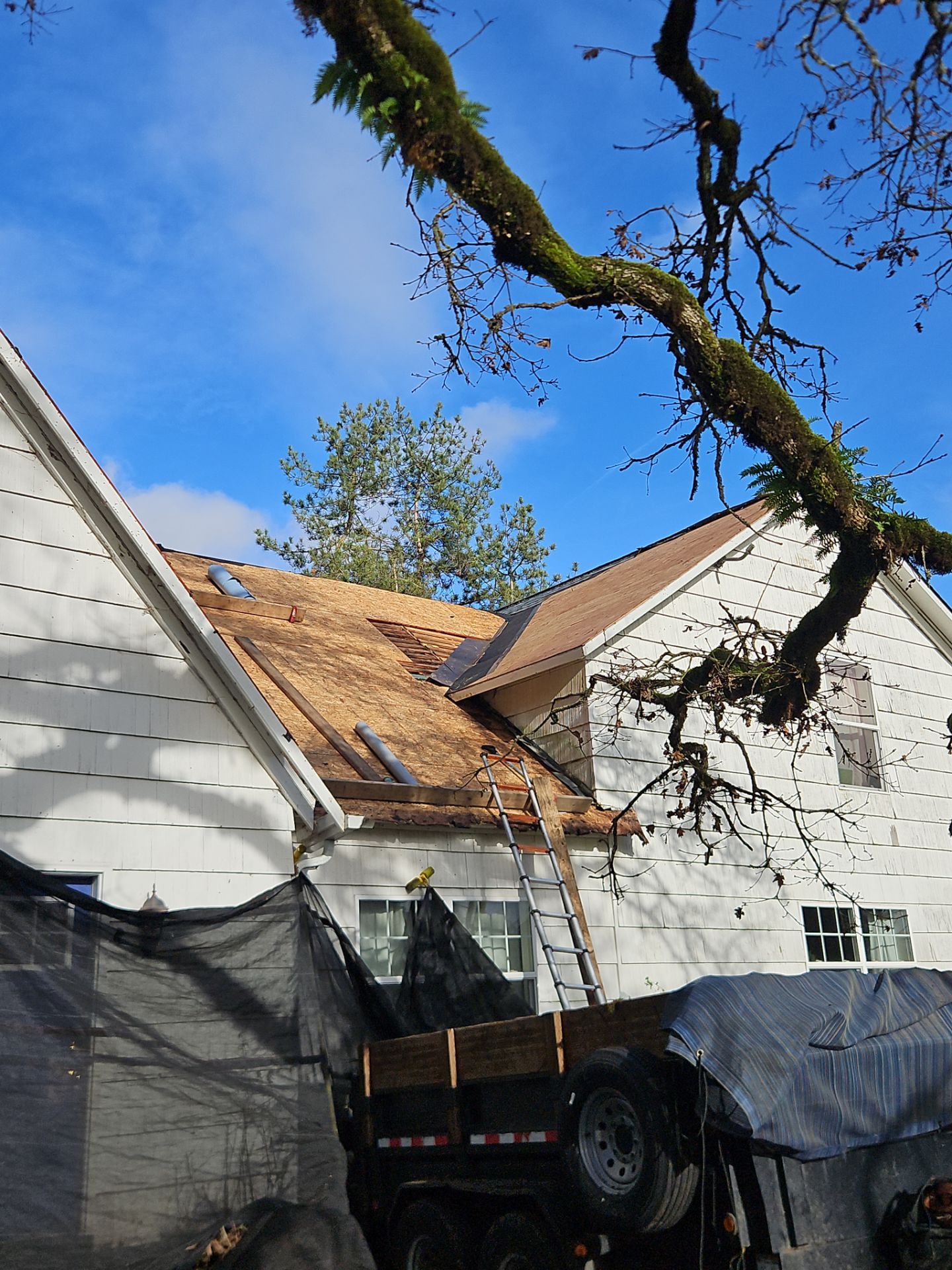 Residential Roofing Installation using IKO Dynasty (Color: Granite Black) by Orezona Building & Roofing Company, Inc.