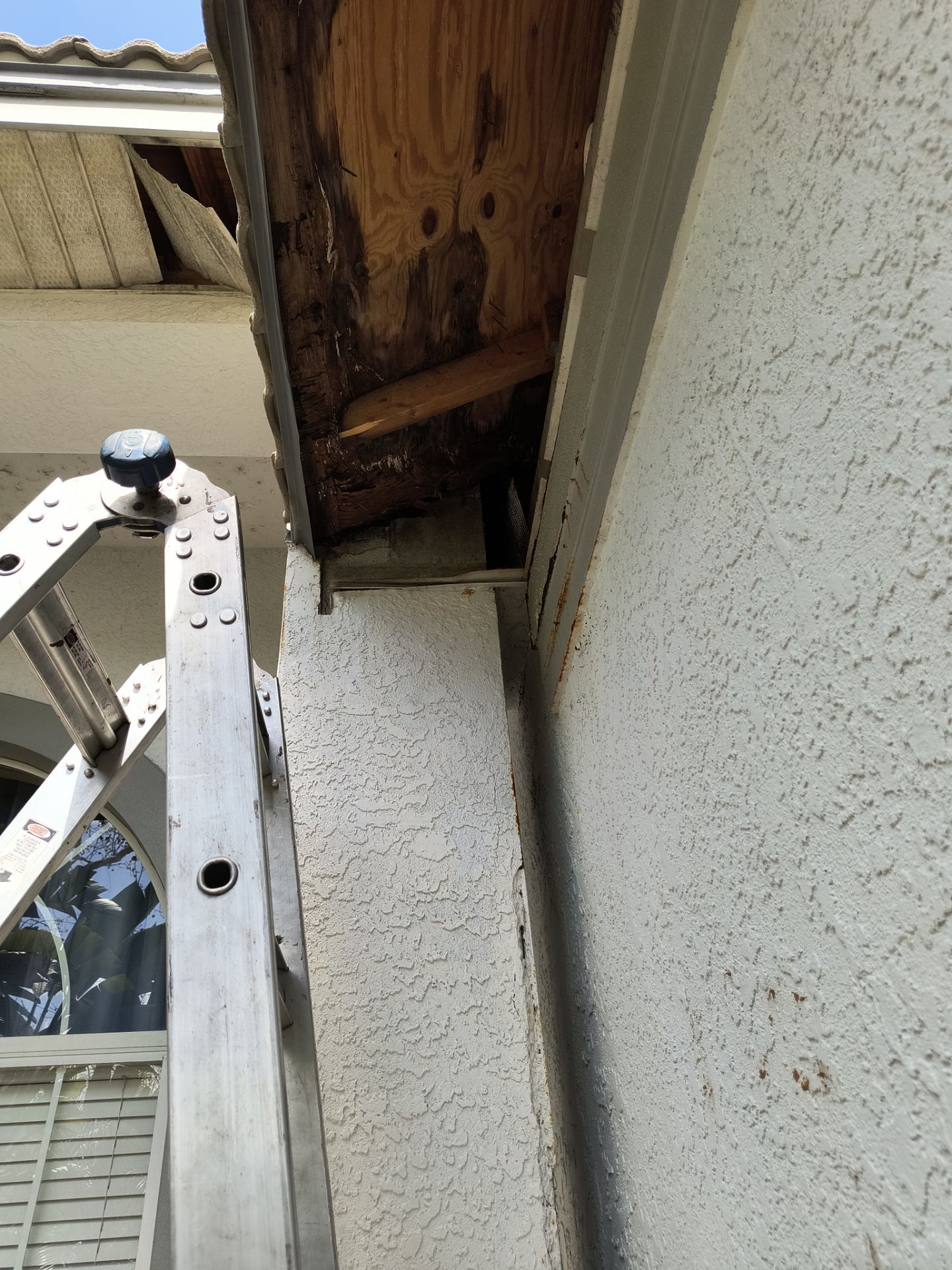Complete Roofline Upgrade with Soffit, Fascia & Gutters Tampa FL by Gutter Professors