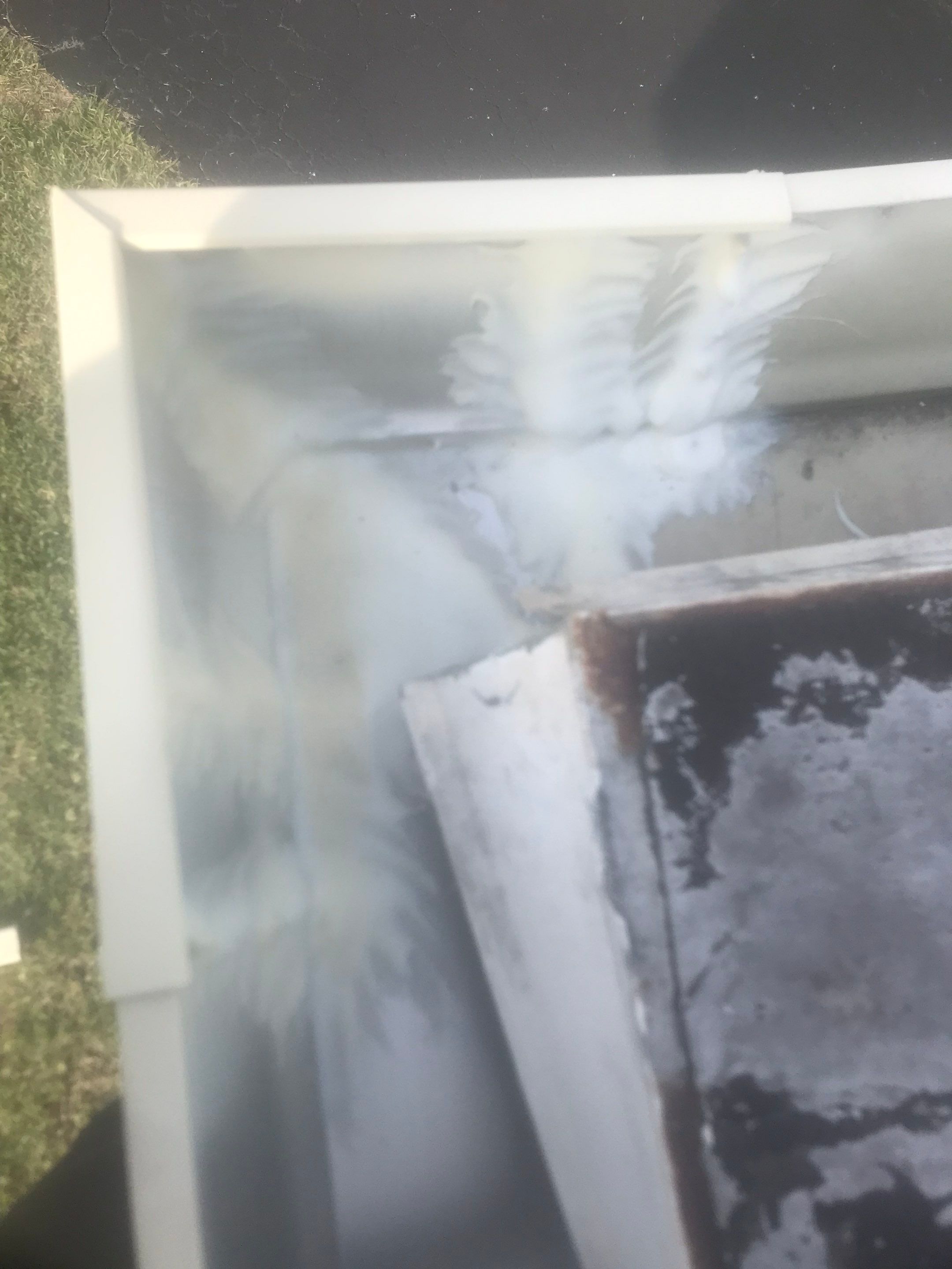 Cameo Gutters using Aluminum Seamless Gutters in Cape Coral FL by Gutter Professors