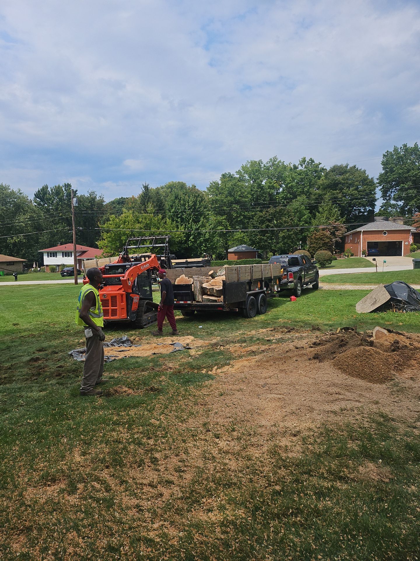 Tree Removal using Tree Removal by Mike Jones & Sons Tree Service LLC 