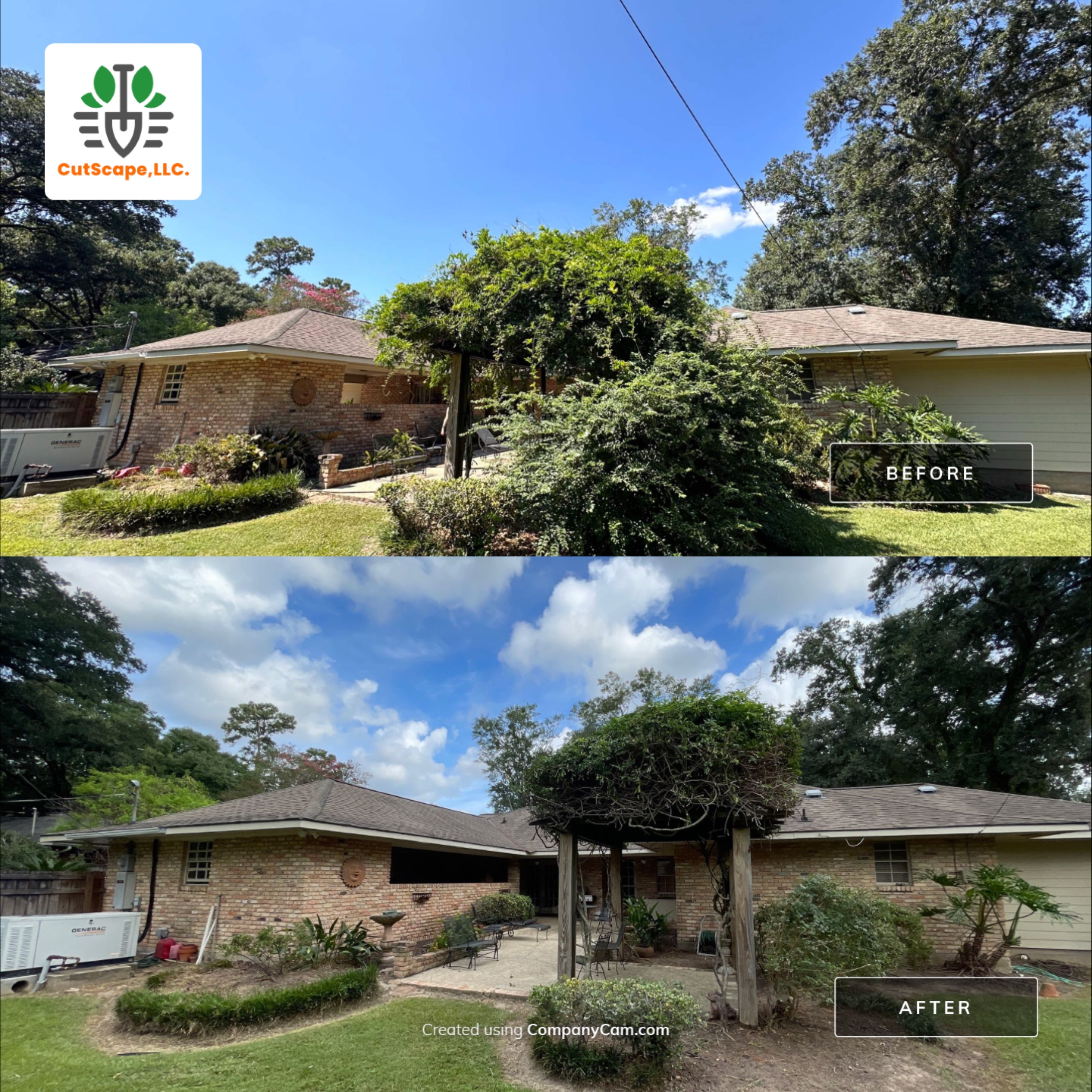 HERBICIDE / CLEAN OUT / TRIM / BRUSH DEBRIS REMOVAL using BRUSH REMOVAL / PROPERTY CLEAN UP LABOR by CutScape, LLC.