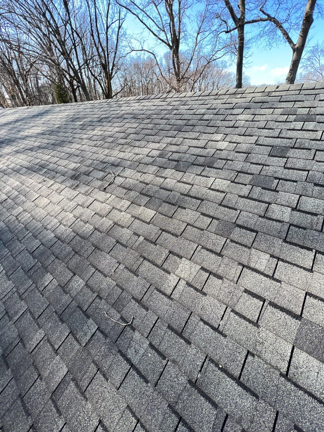 Annandale: CertainTeed Landmark Pro Designer Shingles in Max Def Charcoal Black by RM Banning, Inc.