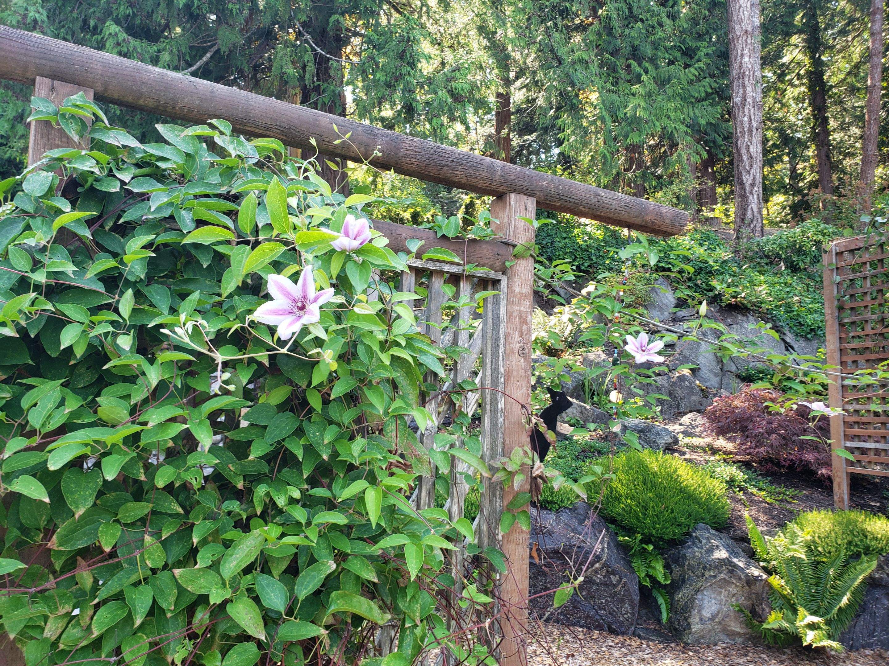 North Saanich Residence by Habanero Garden and Exterior Care