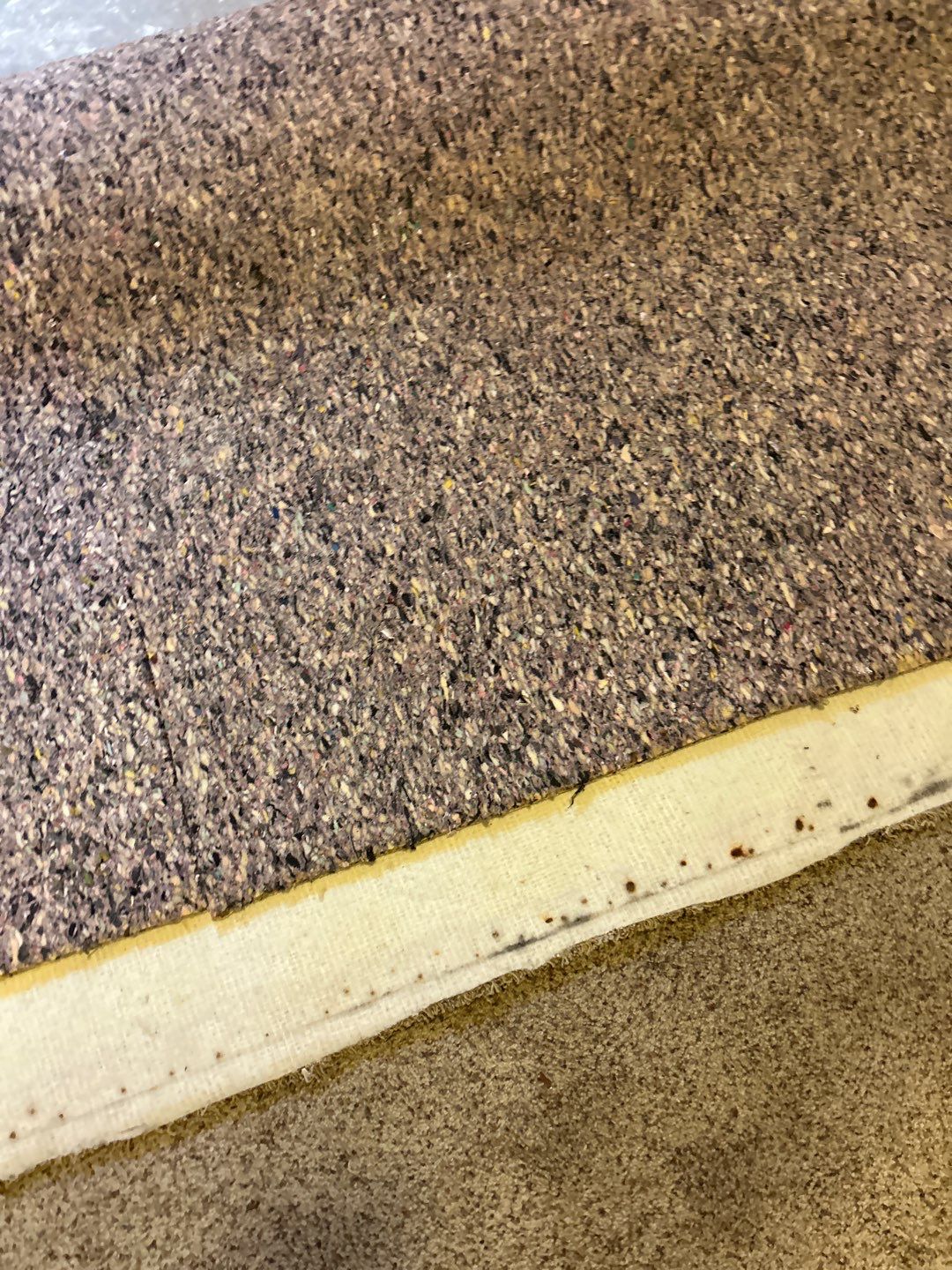 Mold Damage Project in Thornton by Accountable Home Services