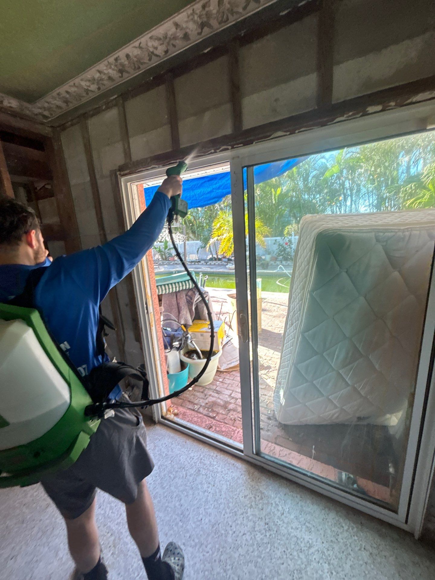 Sarasota Mold Remediation by Ampm Restoration Services