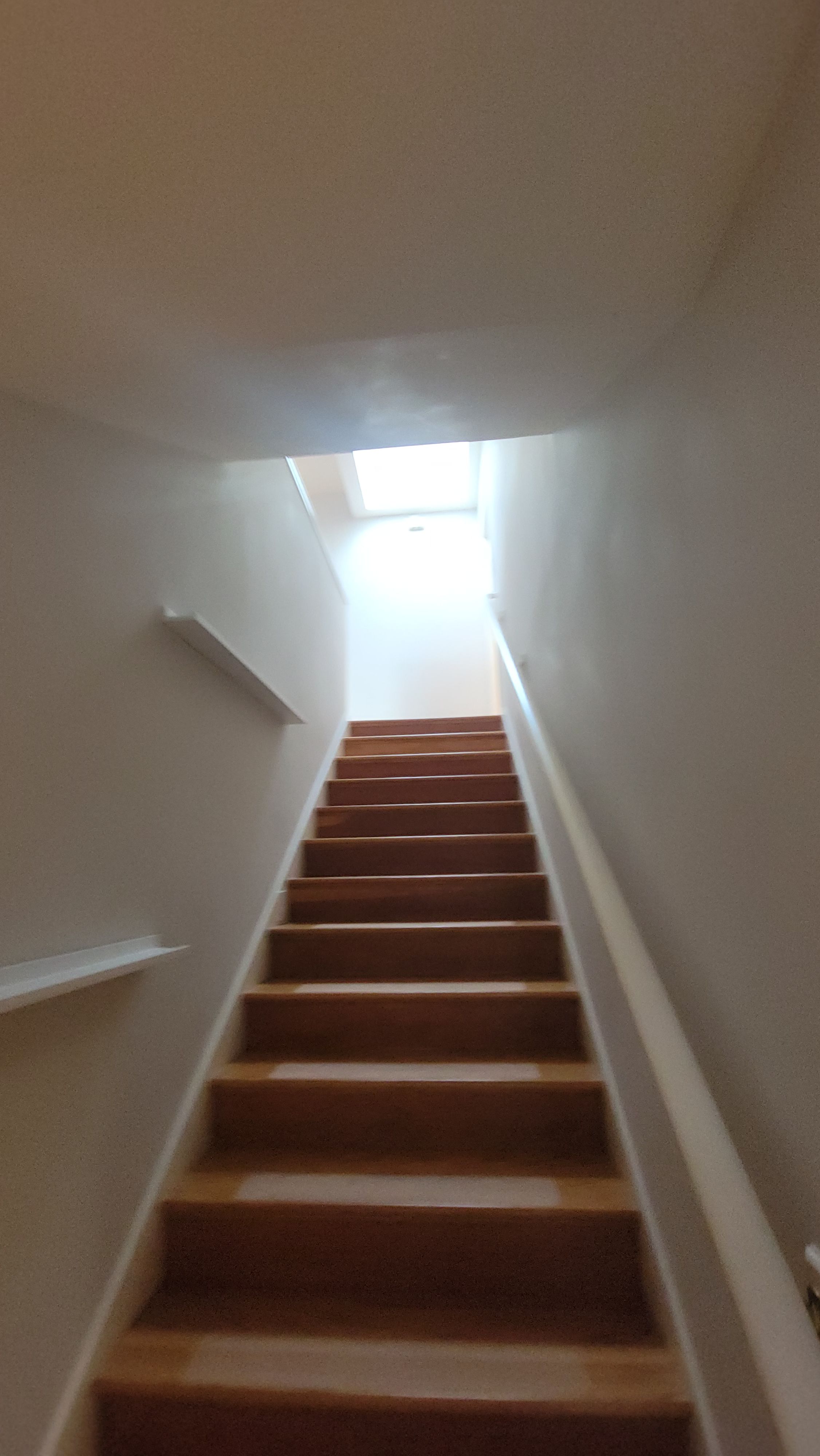 Project in SF, CA by A&R Bentley Painting