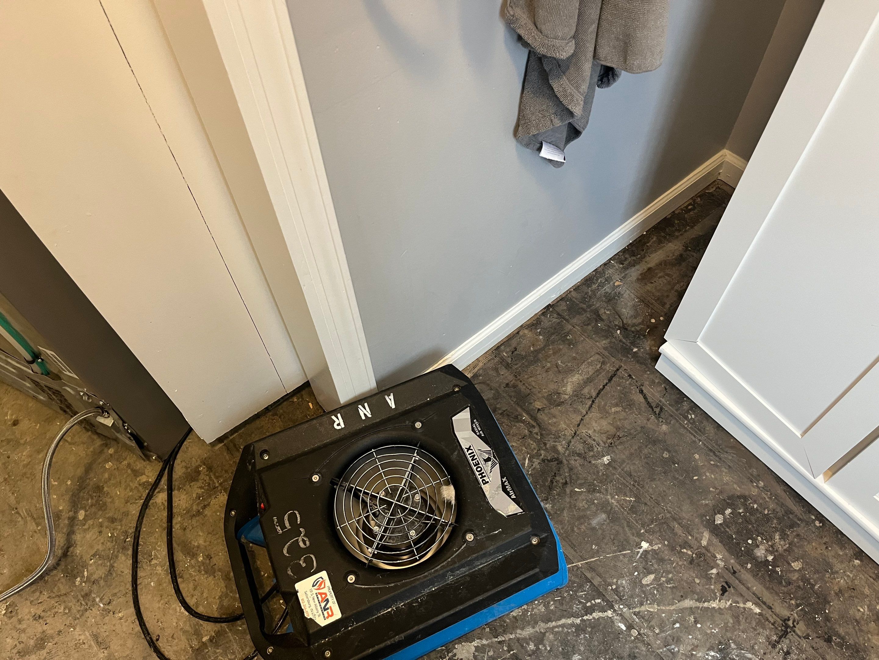 Water Damage and Visible Mold in a Home in Clarksville, IN by ANR Restoration