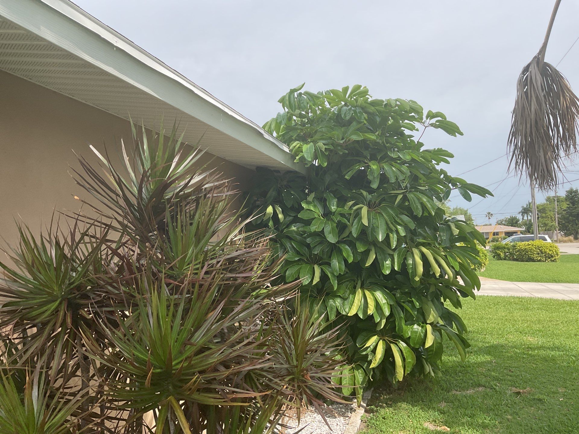 White K Style Seamless Gutters using 6 Inch Seamless Gutters in Cape Coral FL by Gutter Professors