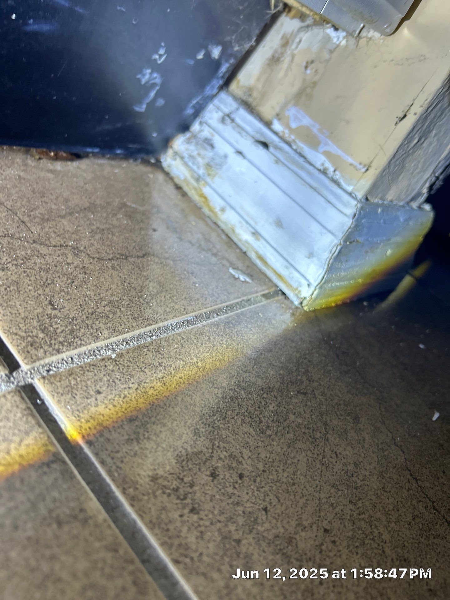 Commercial Mold Damage In Sarasota by Ampm Restoration Services