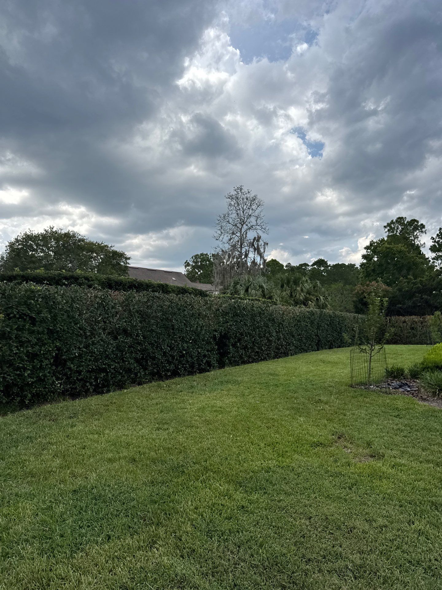 Deerwood Resident | Shrub Trimming by ProGreen Services