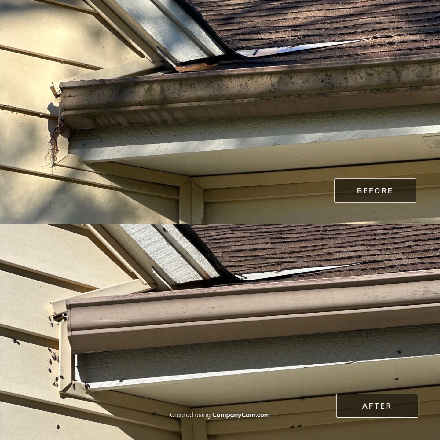 Project in Barrington by Simmons Power & Soft Washing