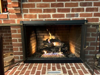 Real Fyre Gas Log Set