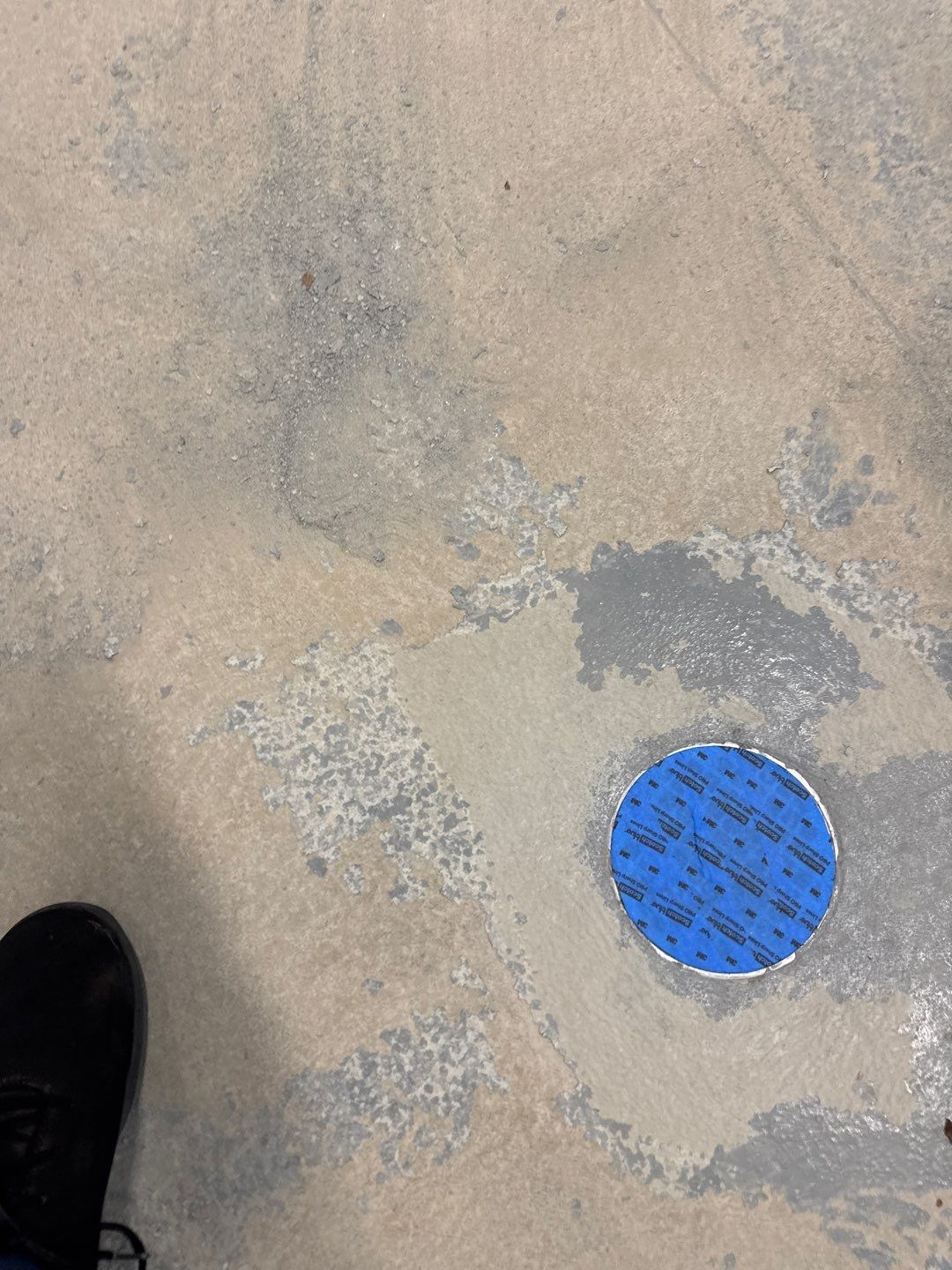 Muni Pool House Project in Crafton  by Floors in a Day, Inc