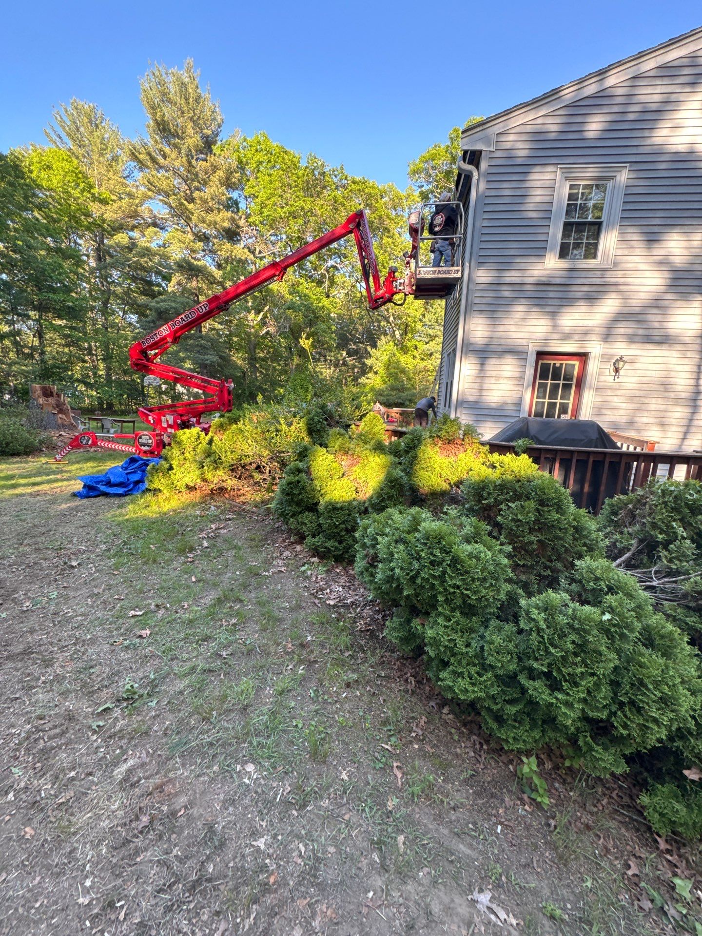 Emergency Temporary repair due to a Tree impact in North Reading by Boston Board Up