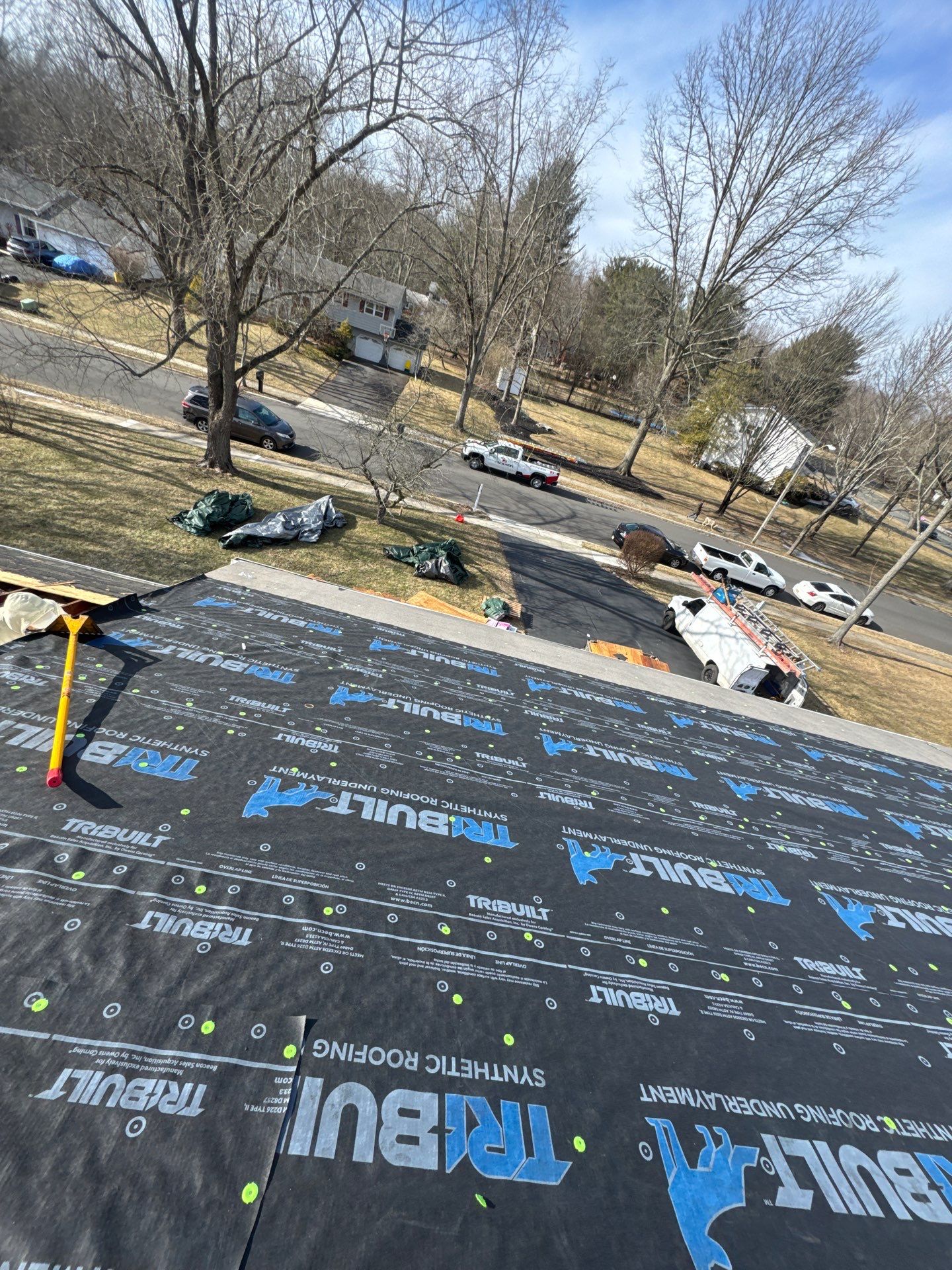 Silver Birch Shingles by Reimagine Roofing