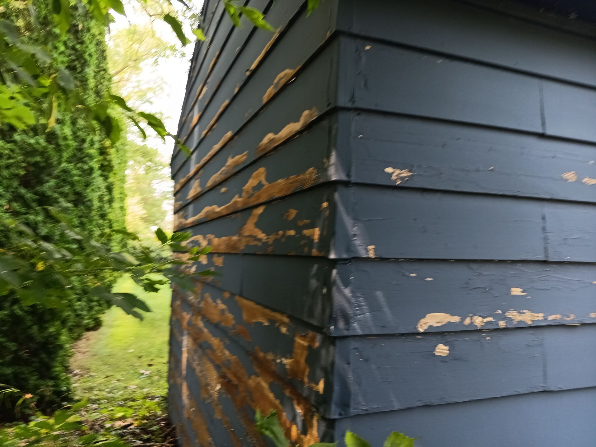 Deck and Shed Re-paint by Gordon Painting