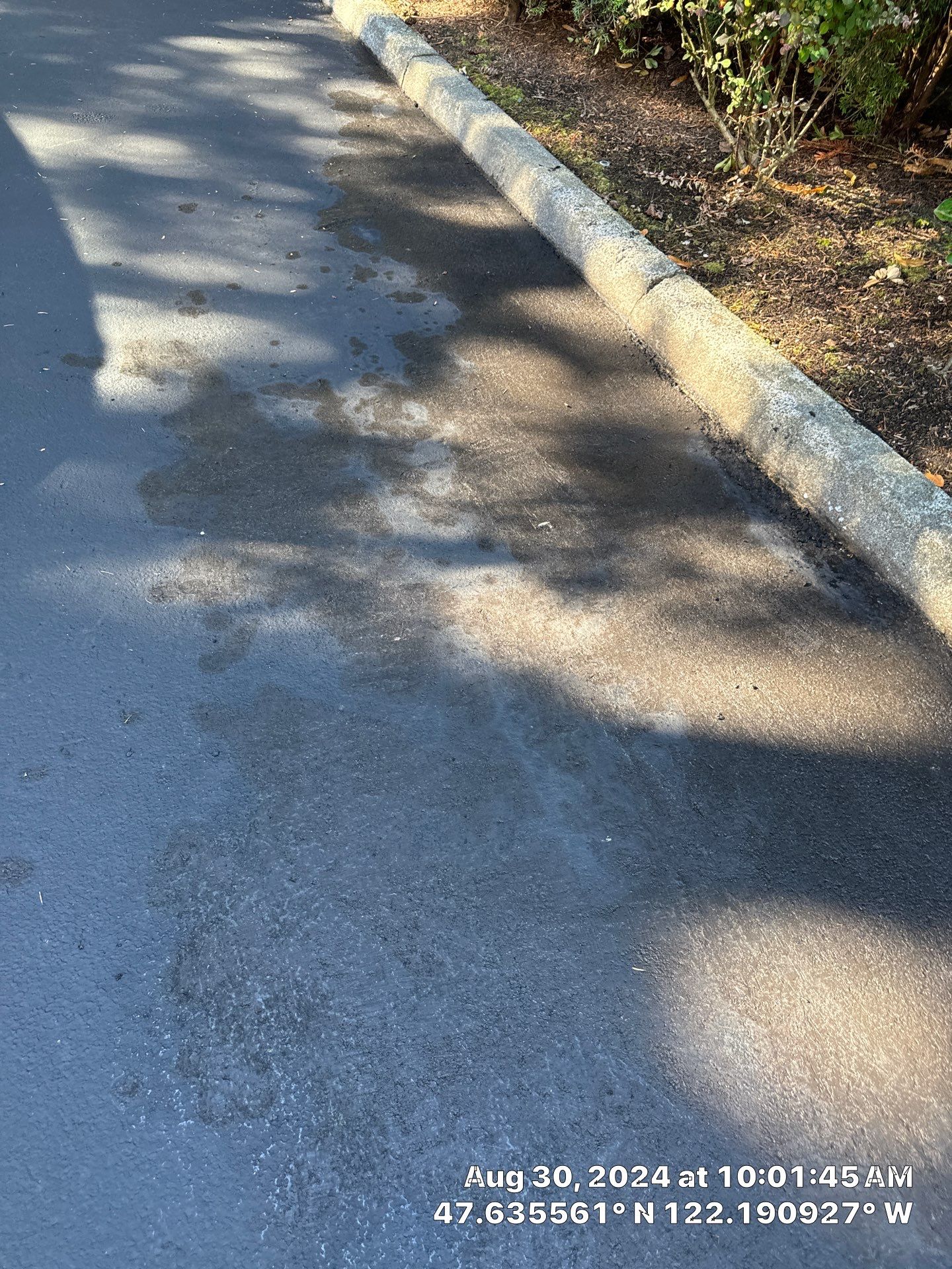 Buchan | Business Parking Lot Repair & Striping by Jireh Asphalt & Concrete Inc 