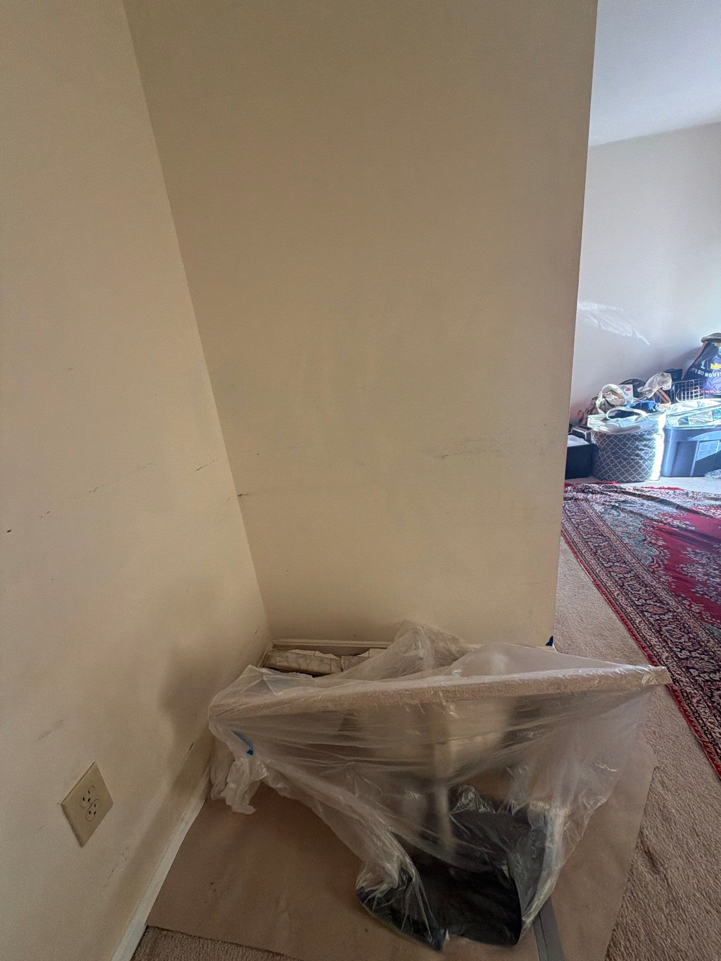 Project in Springfield by Restoration Doctor