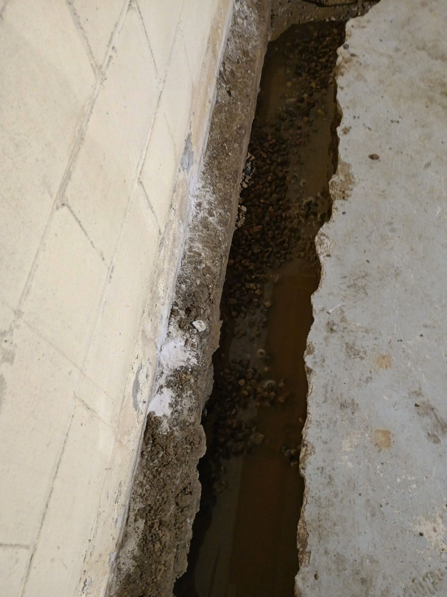 Drain Tile & Sump Pump for Kassie's Rental Property by Waterproofing Northeast