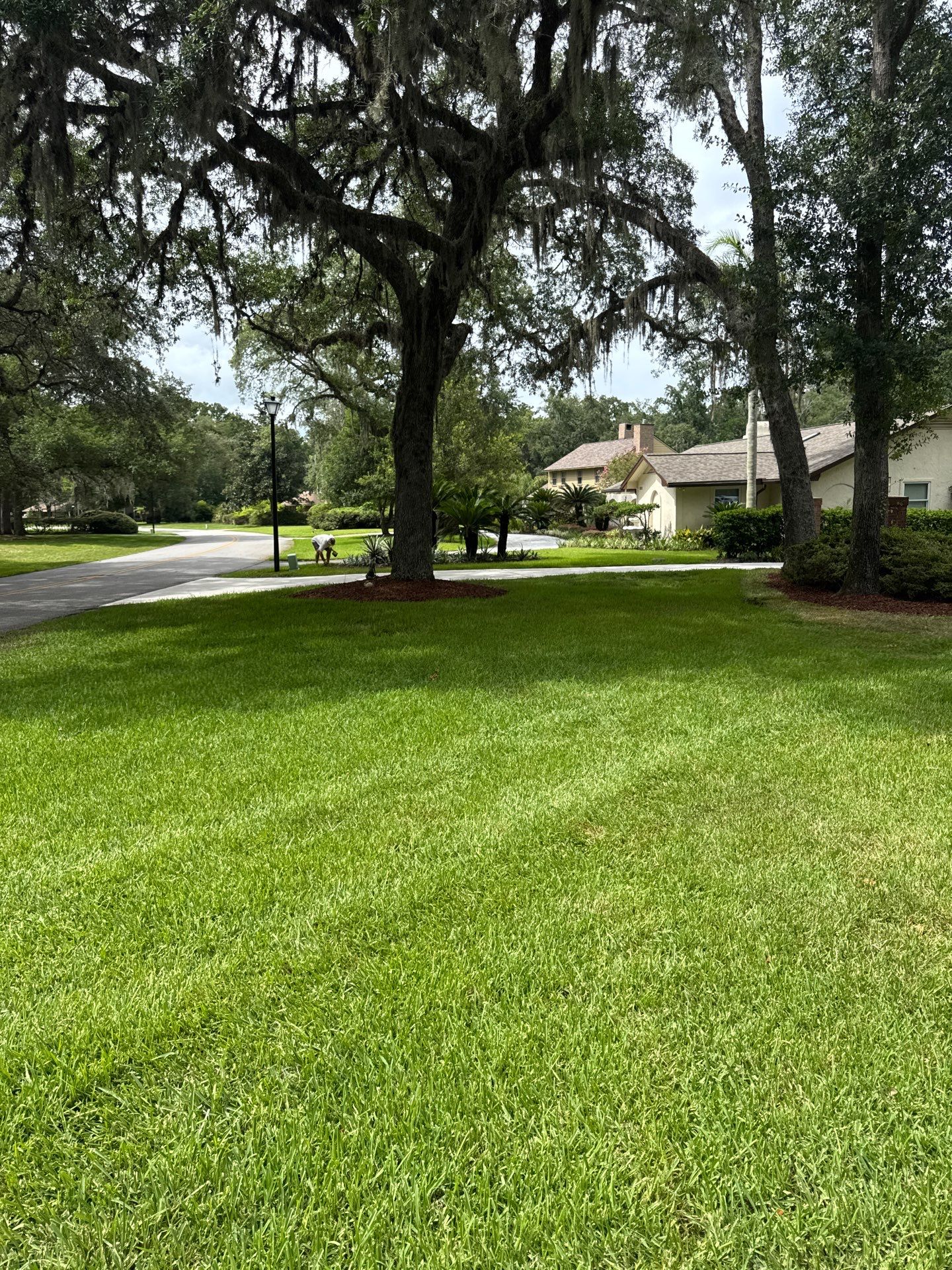 Deerwood Resident | Sod & Bed Design/Plant Installation by ProGreen Services