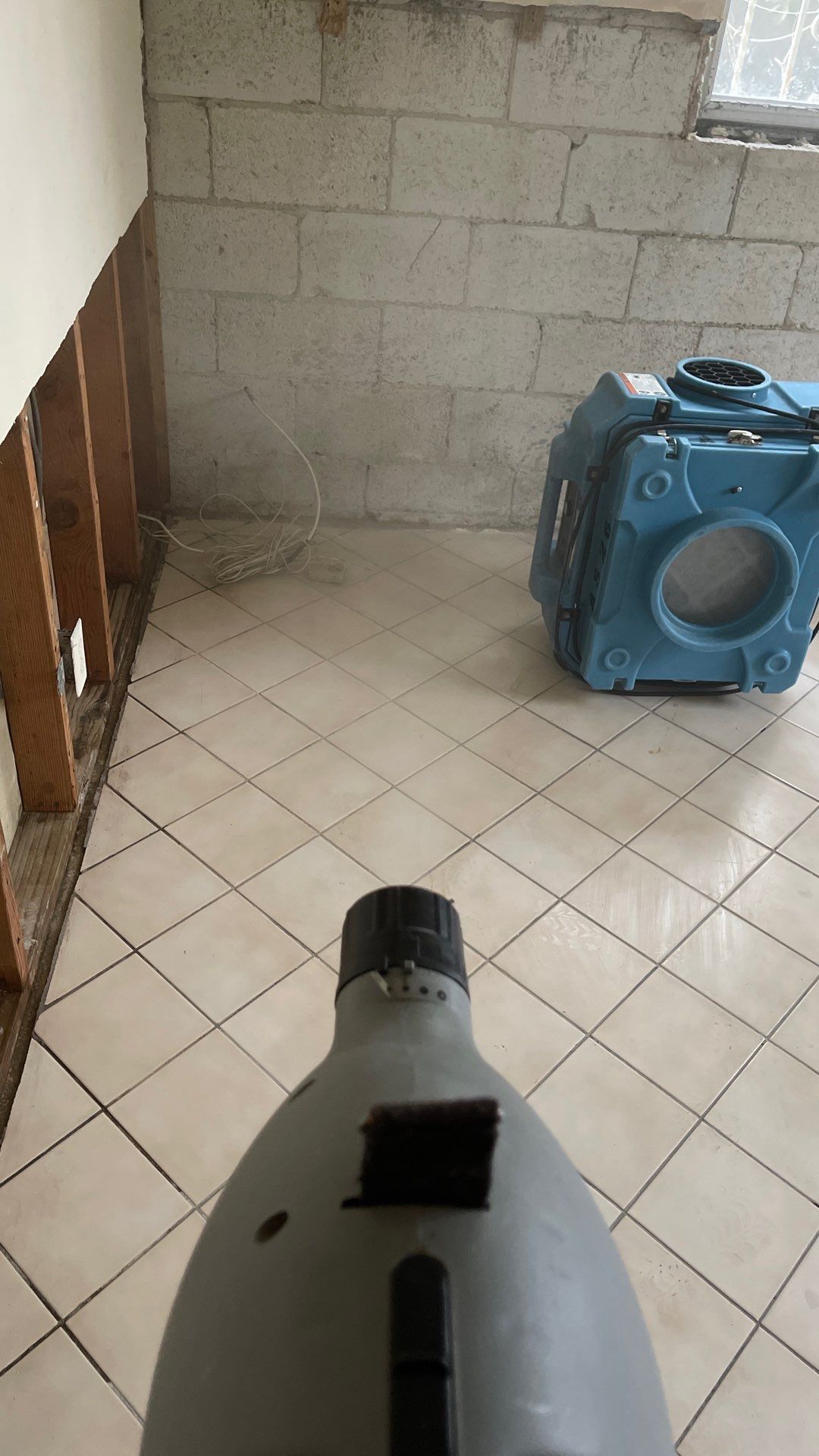 Mold Remediation  by THE RAPID TEAM