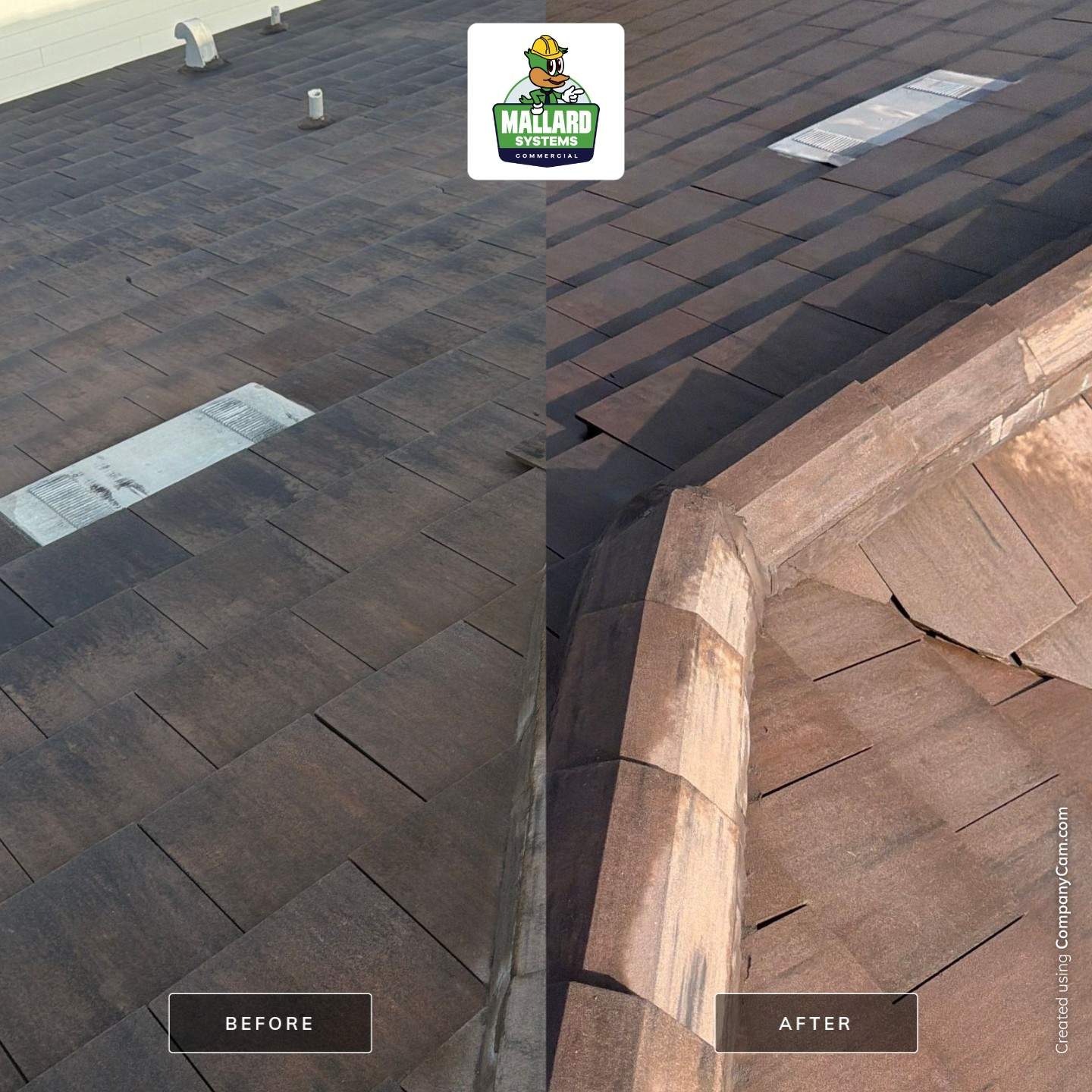 Tile Roof Cleaning in Orlando's Golden Oak Community by Mallard Systems