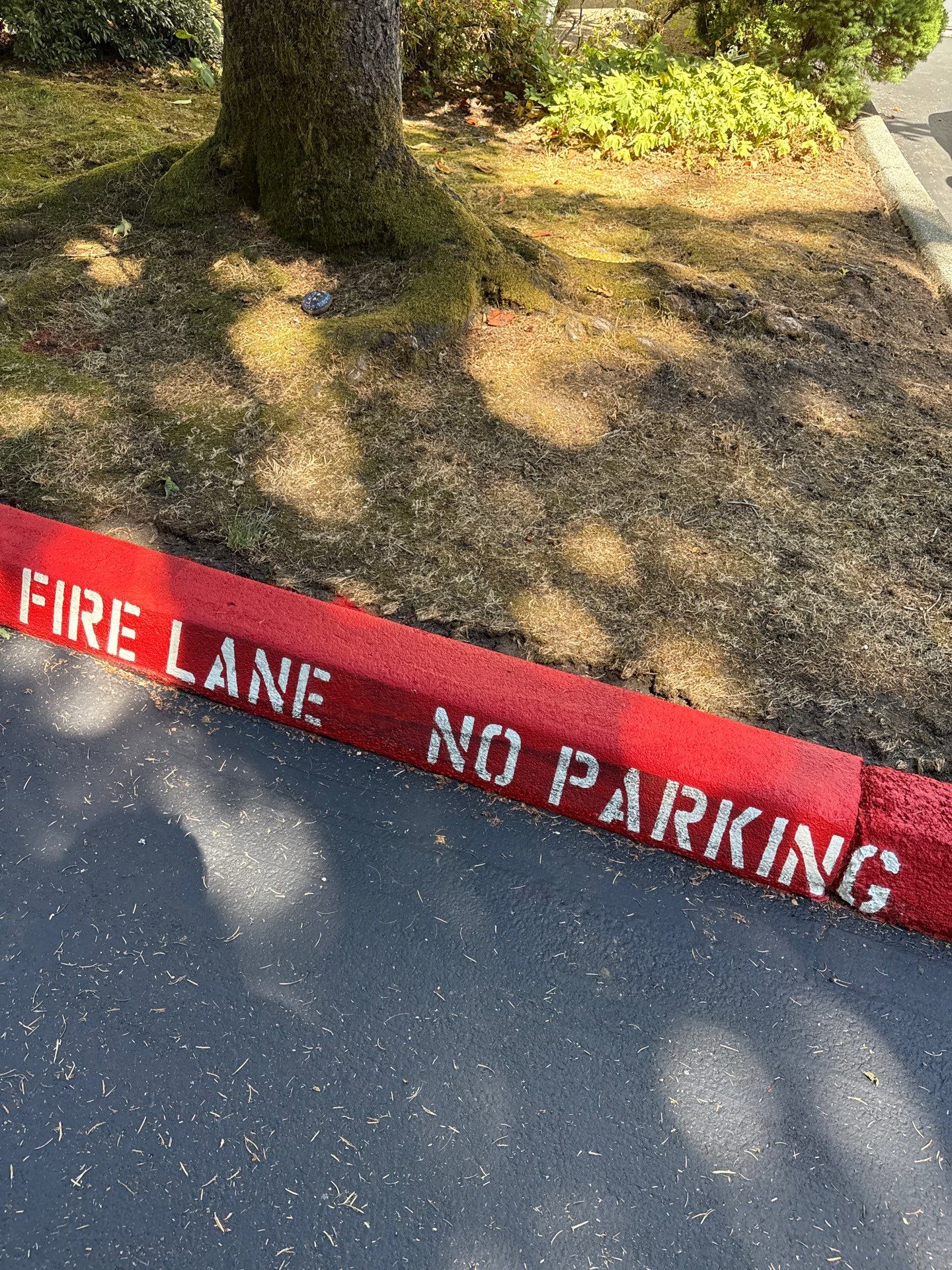 Curb Repaint | Seattle  by Jireh Asphalt & Concrete Inc 