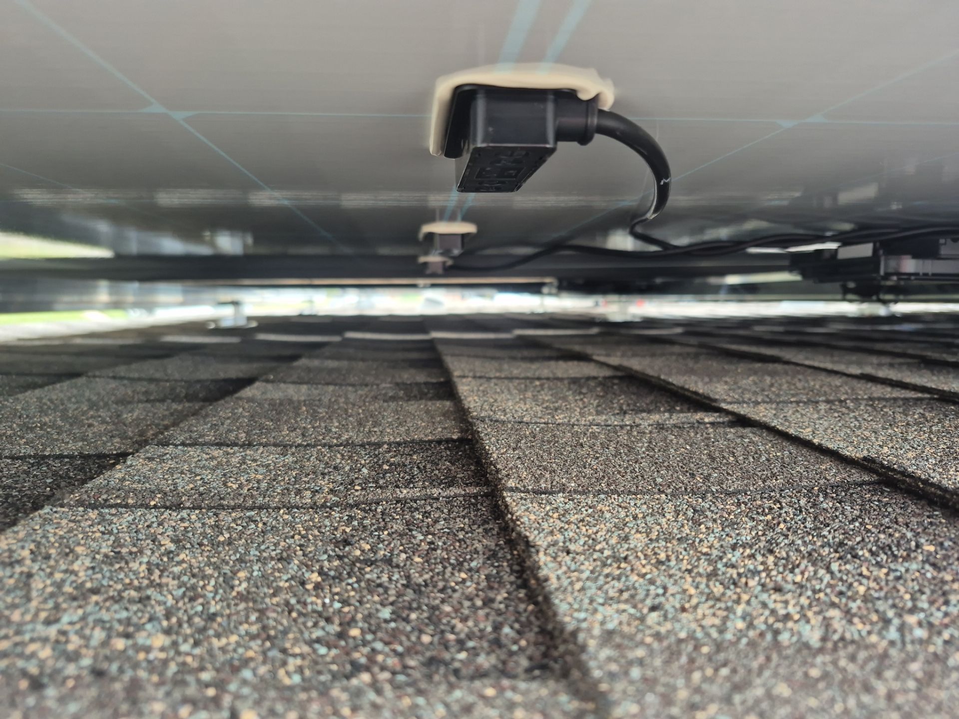 Joyce in Glenn Heights by Trojan Solar