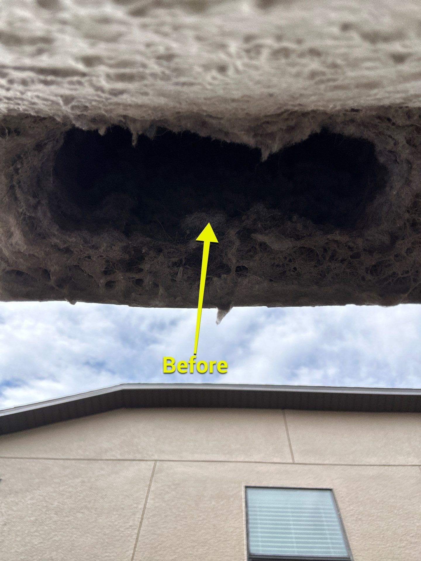 Air Duct Dryer Vent Cleaning in Minneola by Hygienic Air, Inc